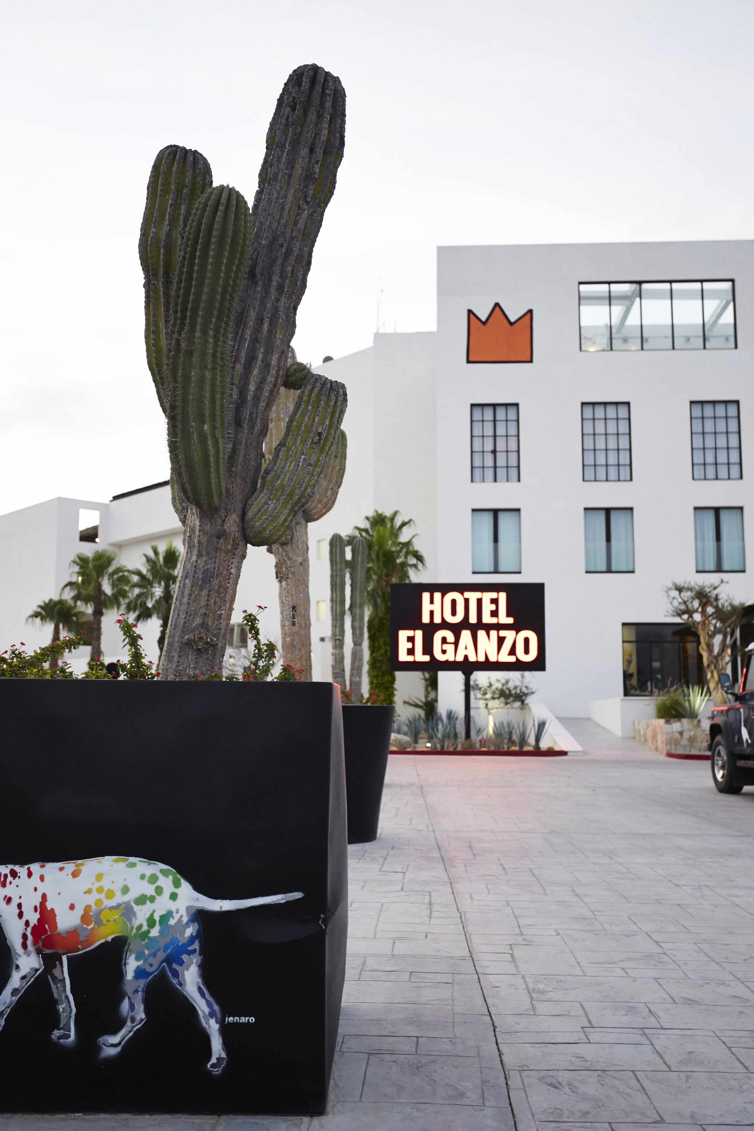 Mexico Hotel | Hotel El Ganzo