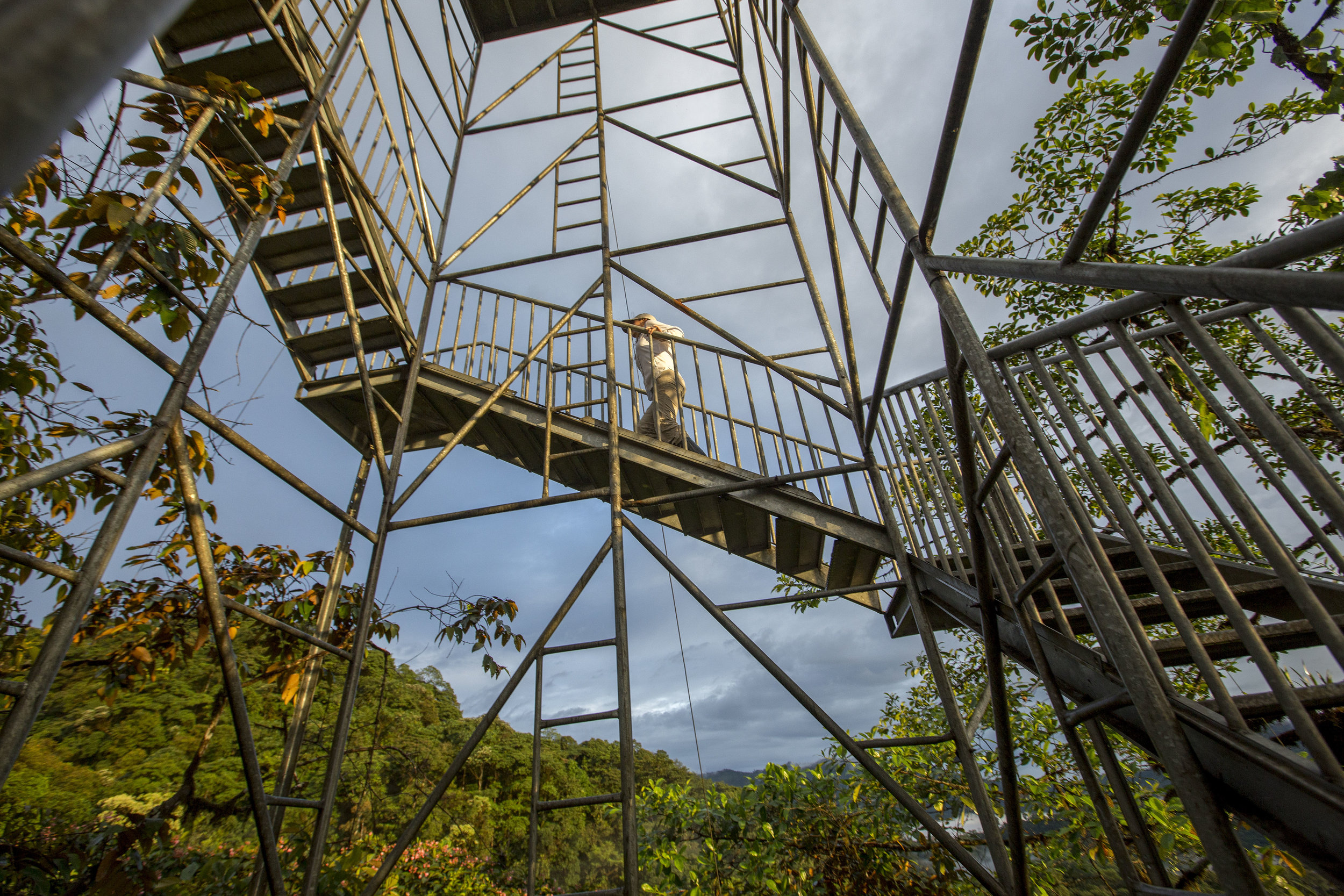 Ecuador Hotels | Mashpi Lodge