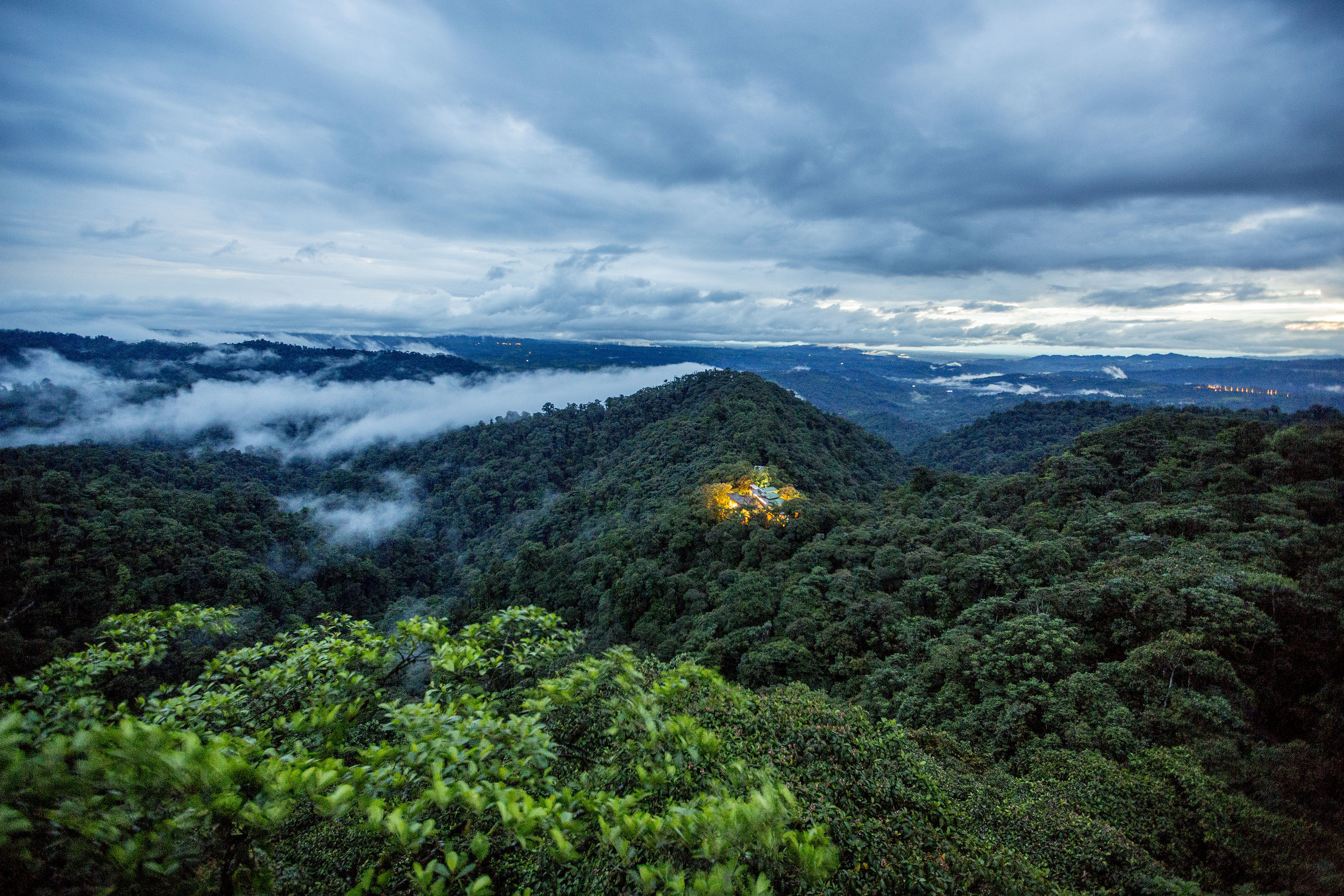 Ecuador Hotels | Mashpi Lodge