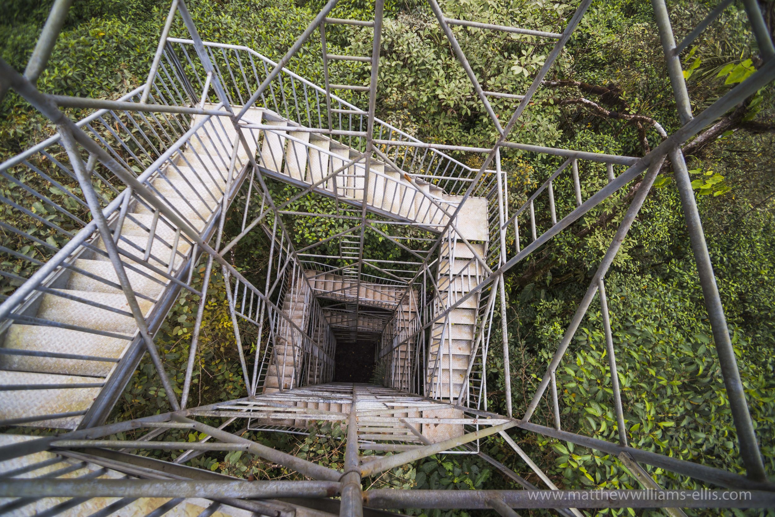 Ecuador Hotels | Mashpi Lodge