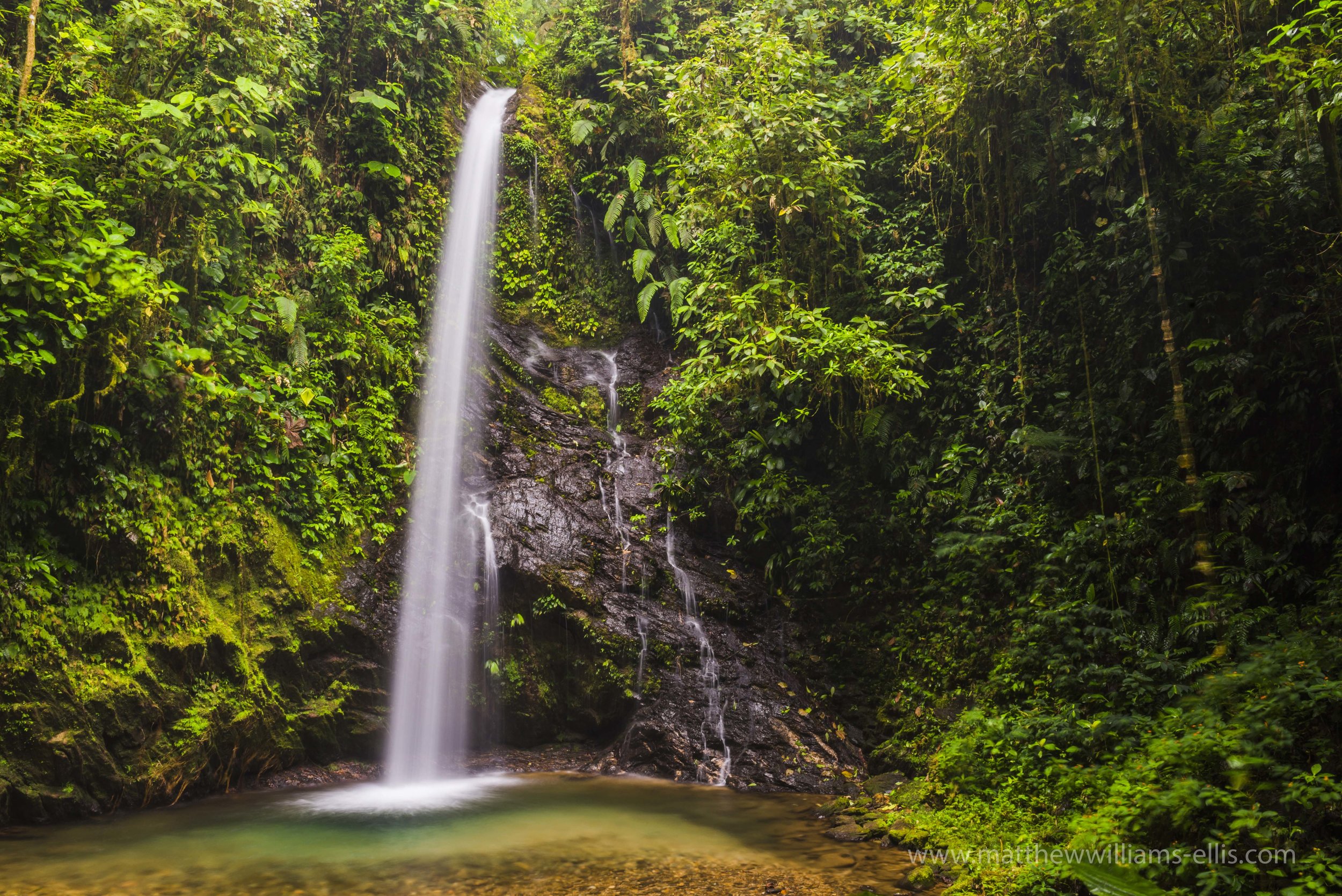 Ecuador Hotels | Mashpi Lodge