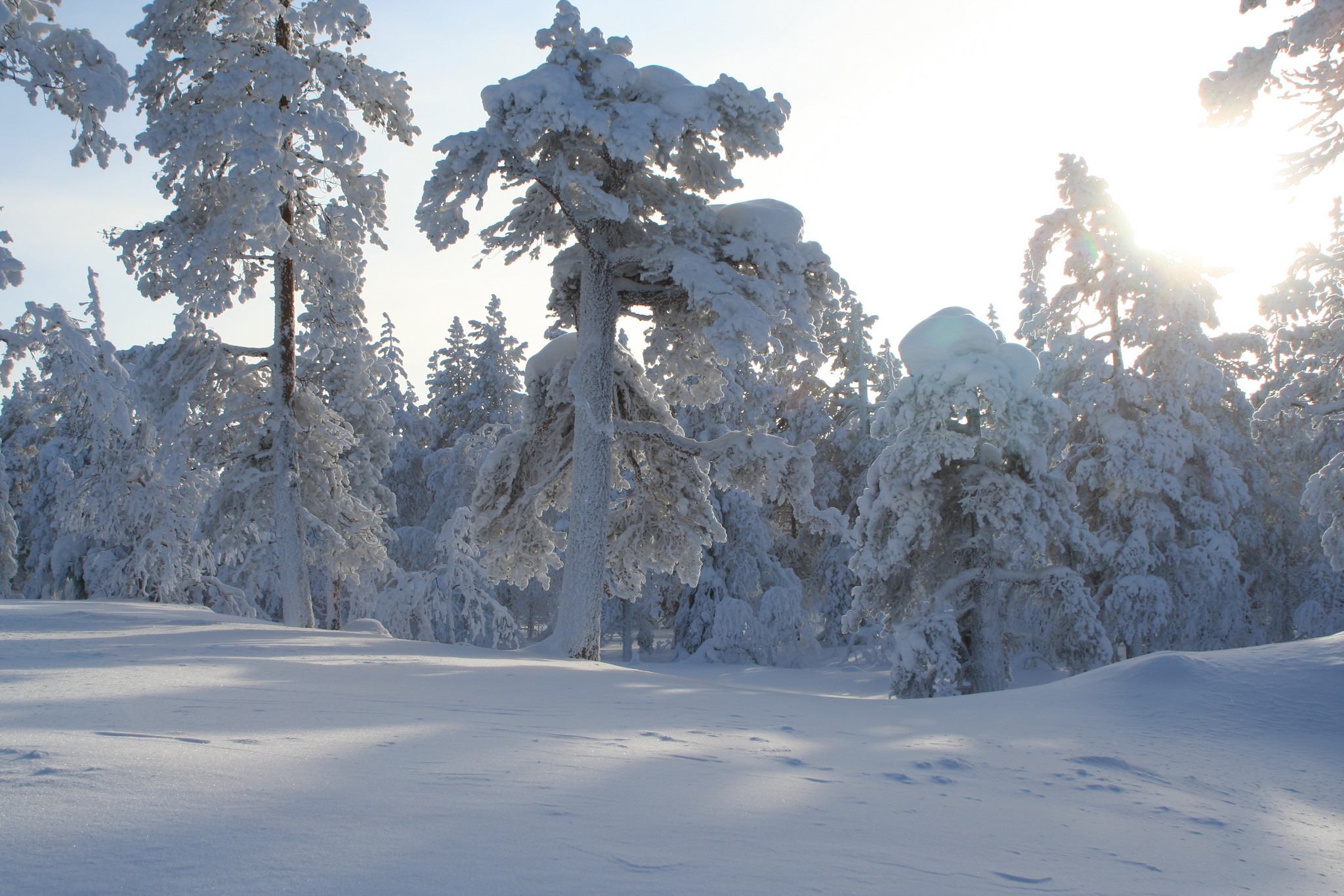 Finnish Lapland | Levin Iglut Glass Igloos