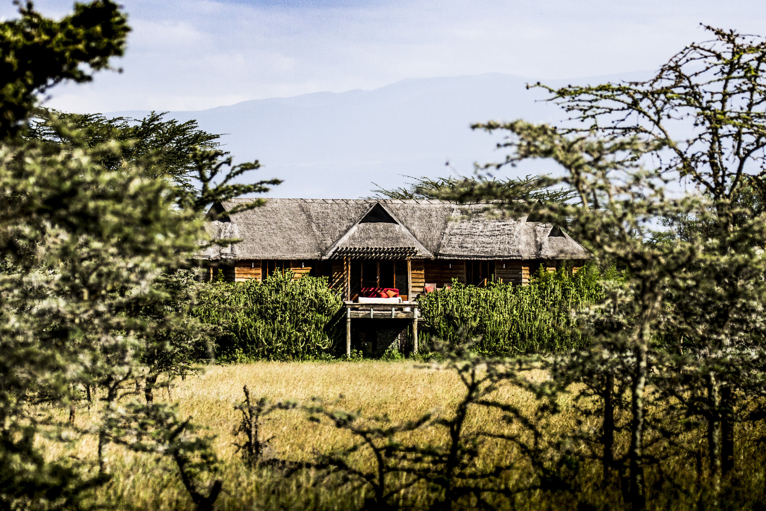 Safari Hotels | Segera Retreat Kenya