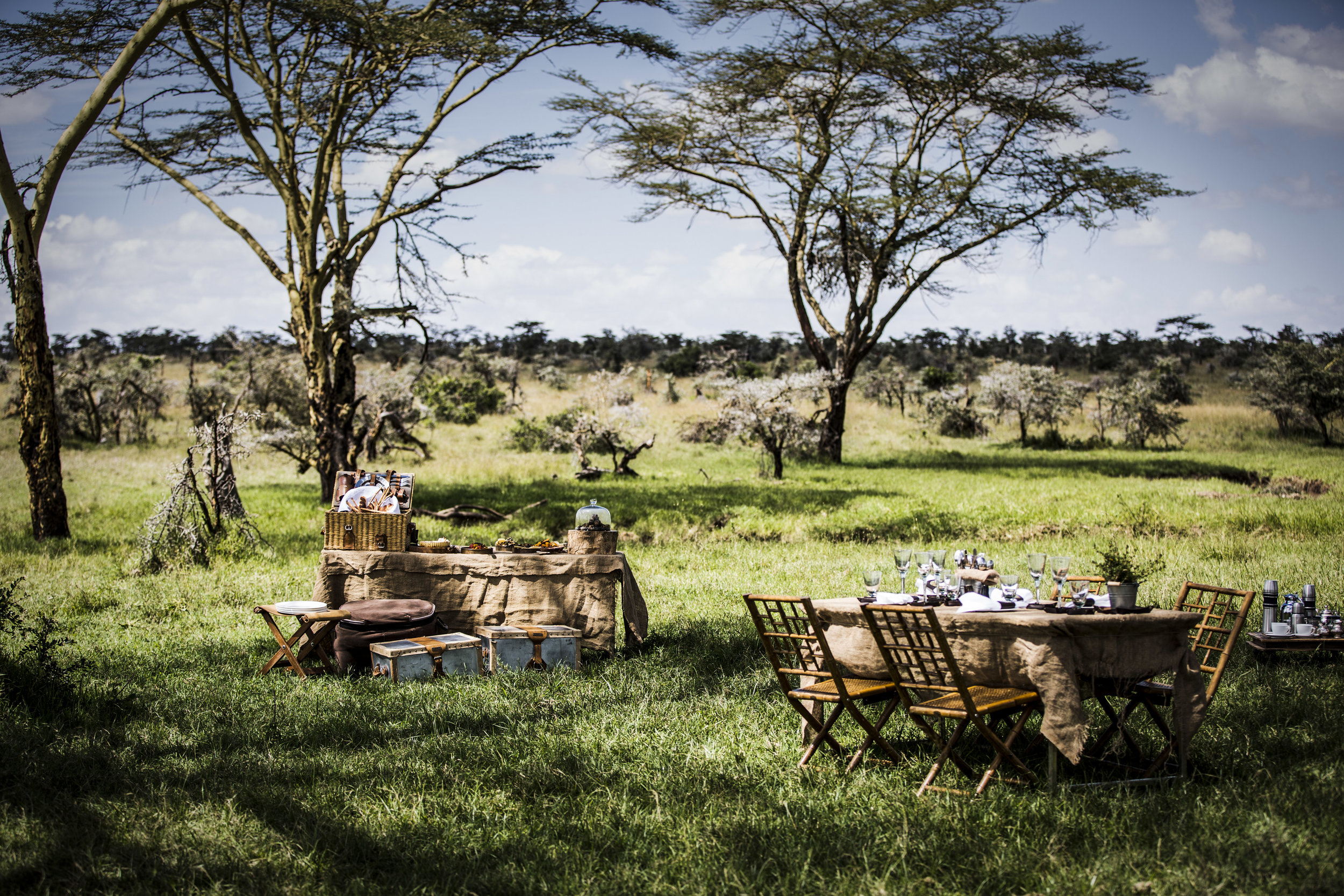 Safari Hotels | Segera Retreat Kenya