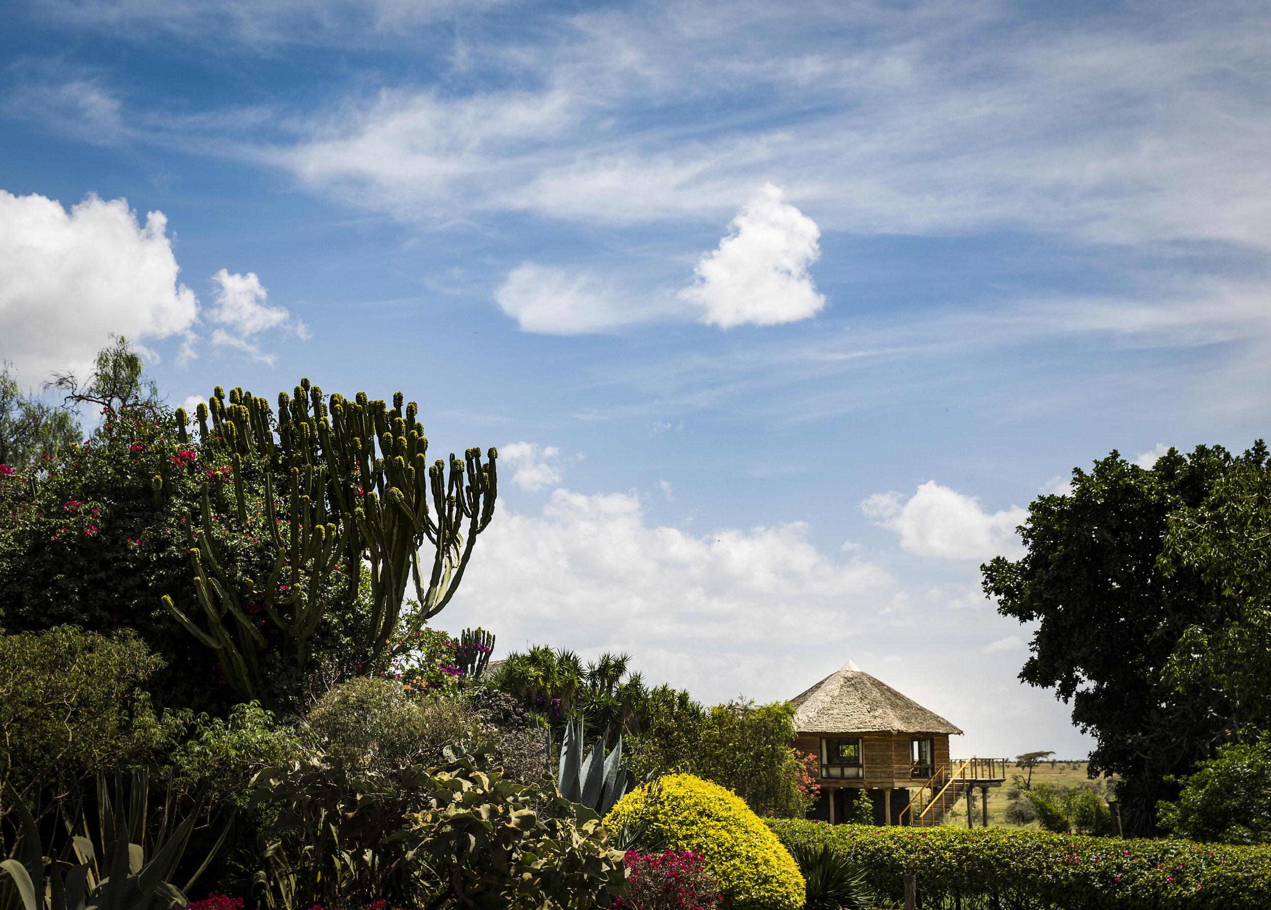 Safari Hotels | Segera Retreat Kenya