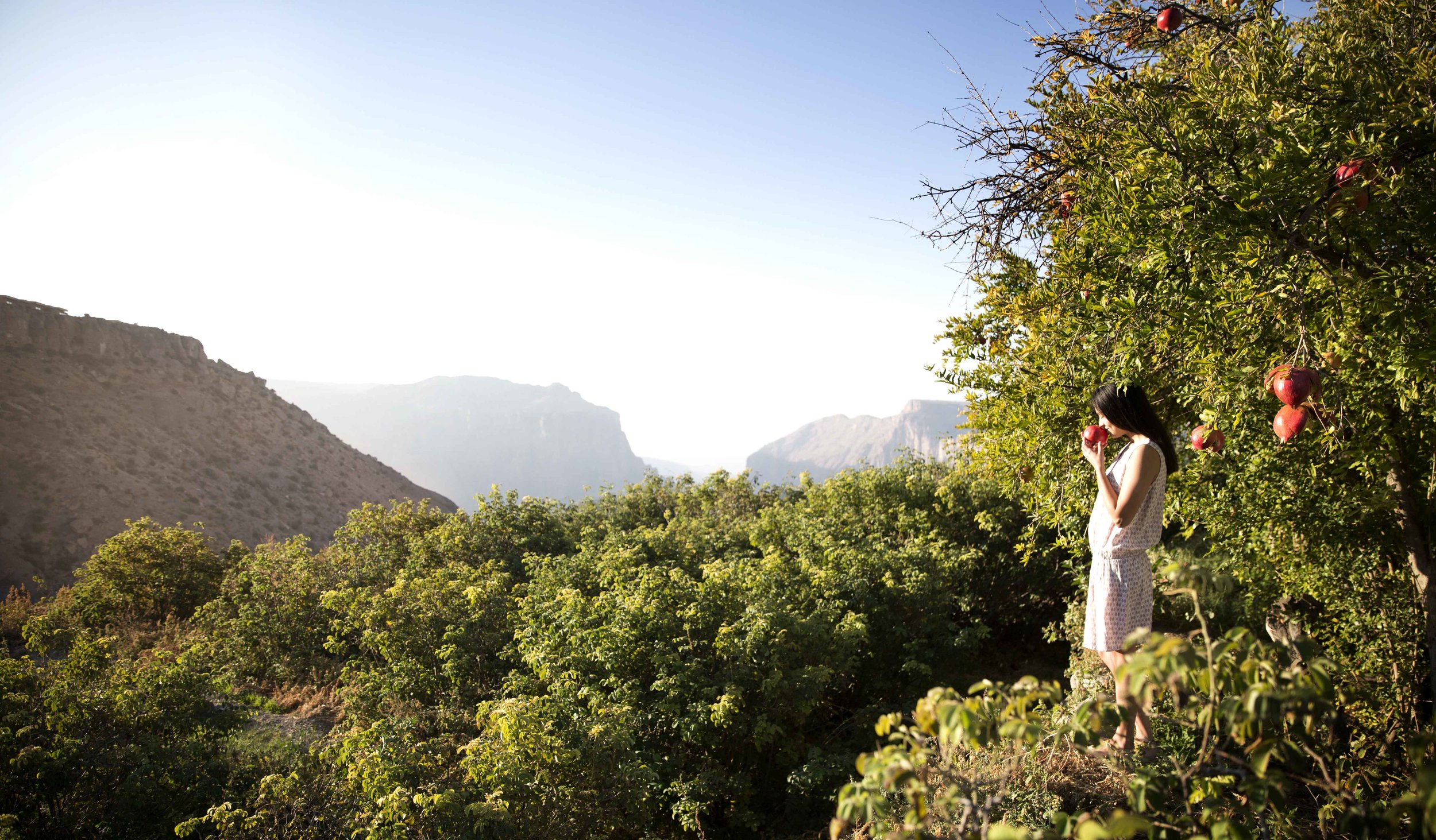 Anantara Al Jabal Al Akhdar Resort - Destination 01.jpg