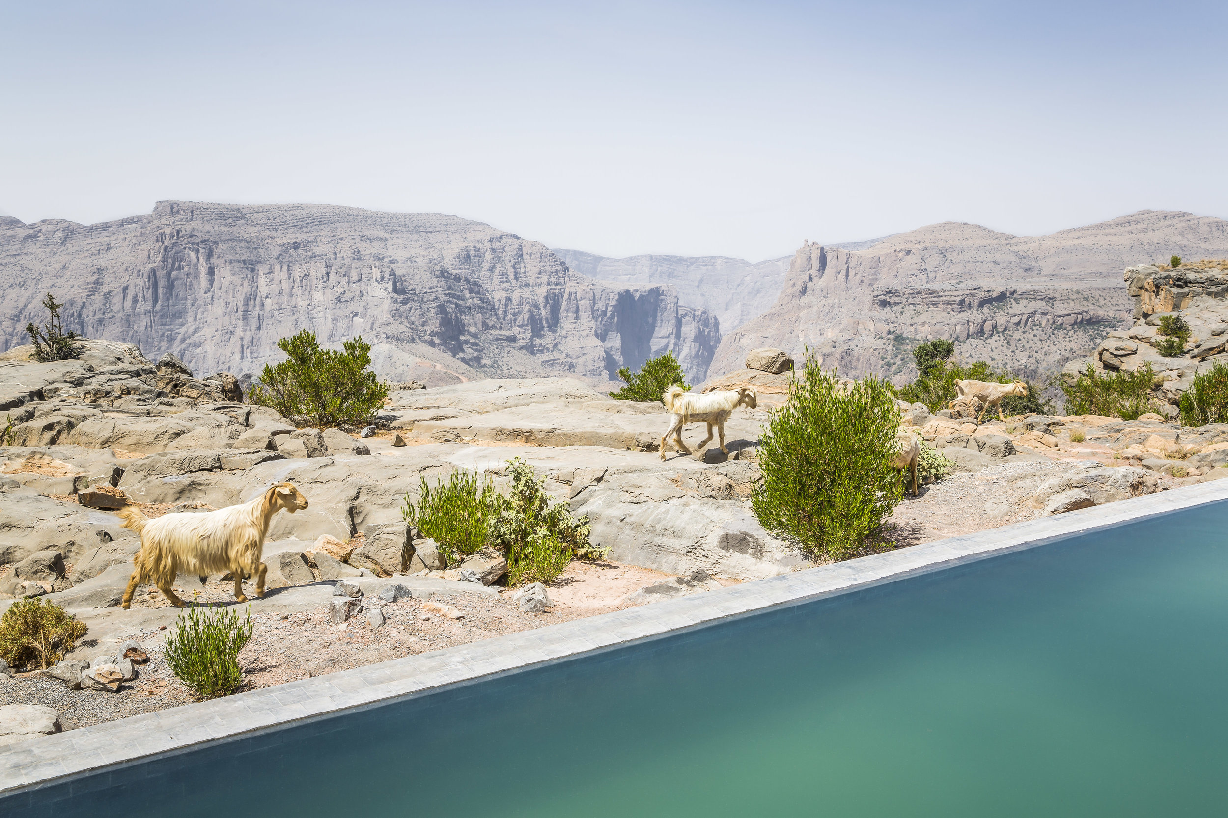 Anantara Al Jabal Al Akhdar Resort - Cliff Pool Villa Pool View 02.jpg