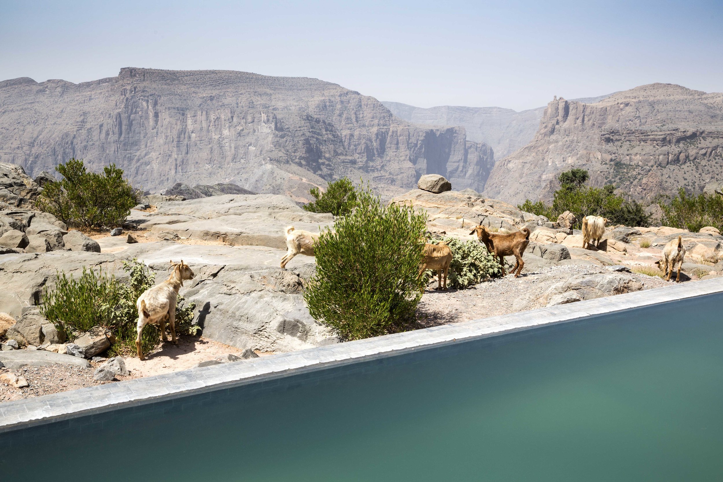 Anantara Al Jabal Al Akhdar Resort - Cliff Pool Villa View 04.jpg