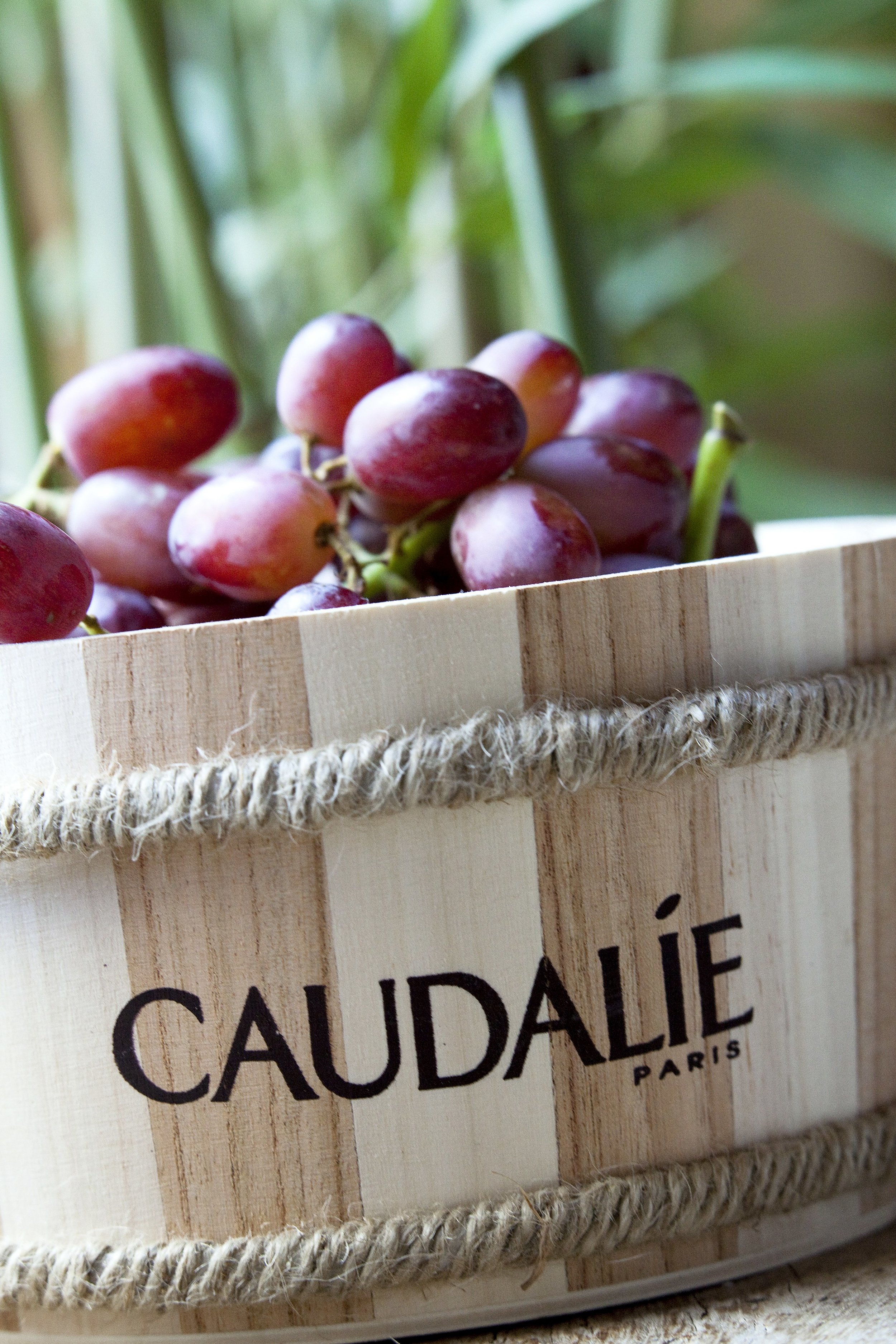 Wellness Hotel | Les Sources de Caudalie France