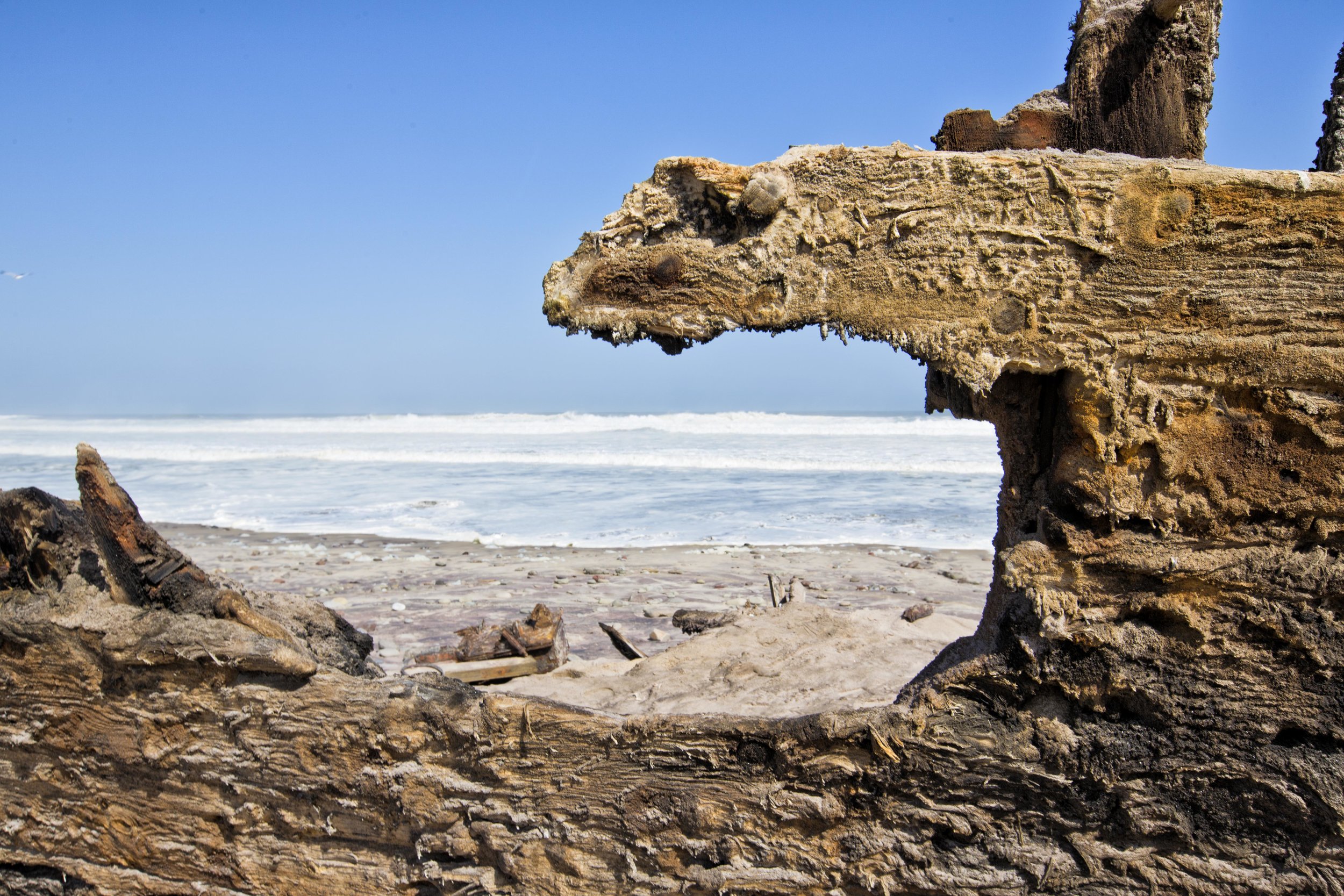 Shipwreck Lodge - Shipwrecks in the dunes1.jpg