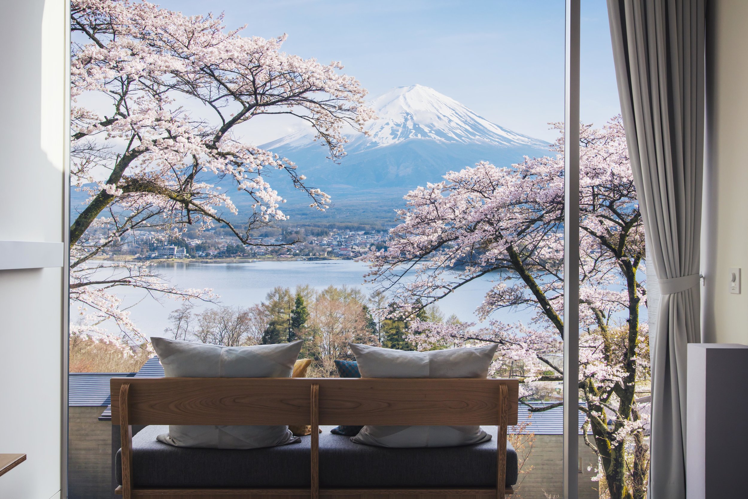 HOSHINOYA Fuji cherry blossom1.jpg