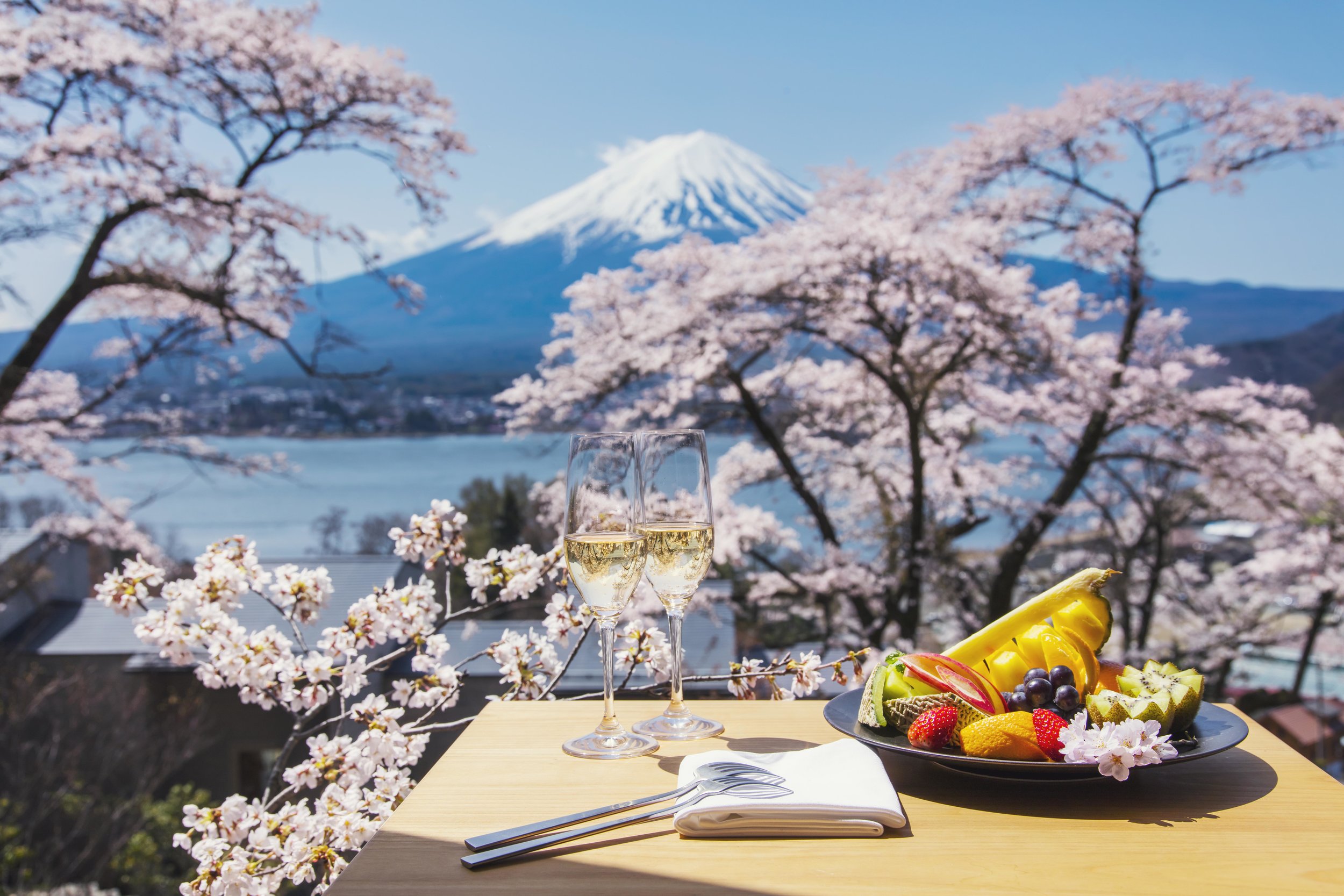 HOSHINOYA Fuji cherry blossom2.jpg