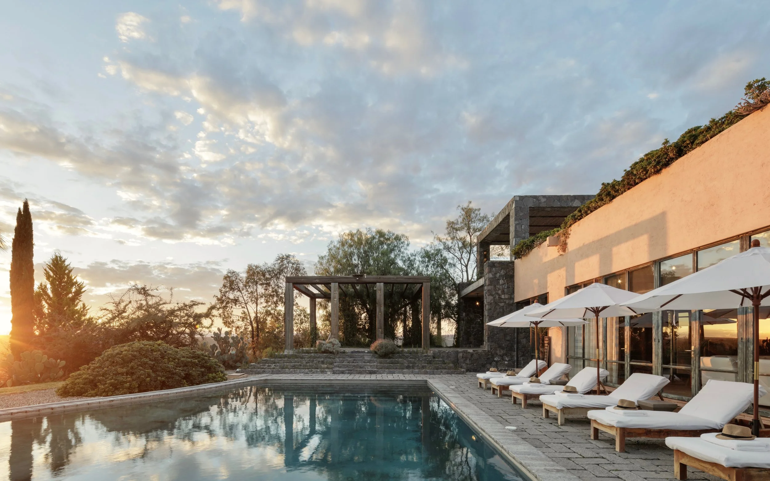 Casa Adela — Room + Wild