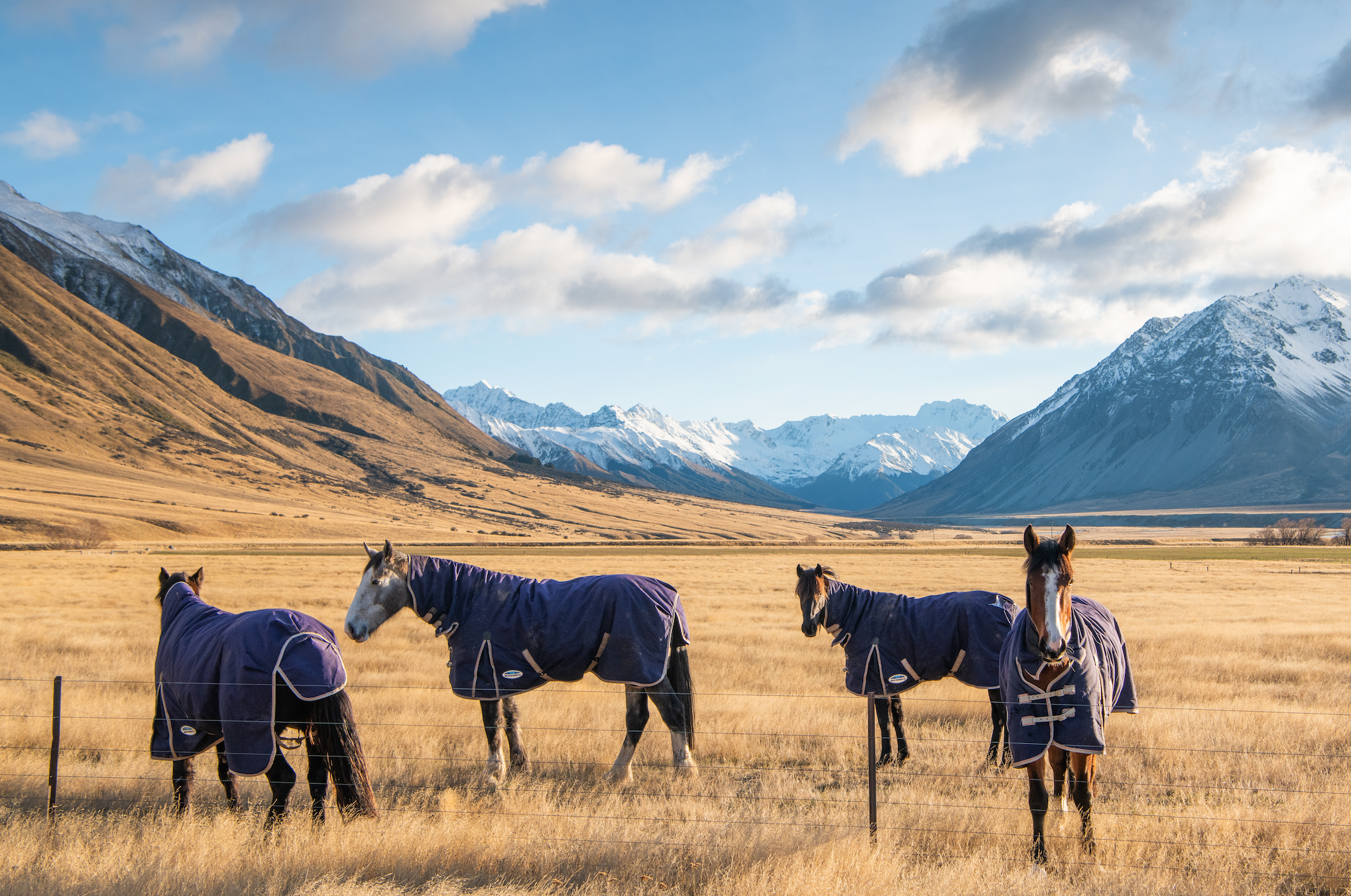 New Zealand Hotel | The Lindis