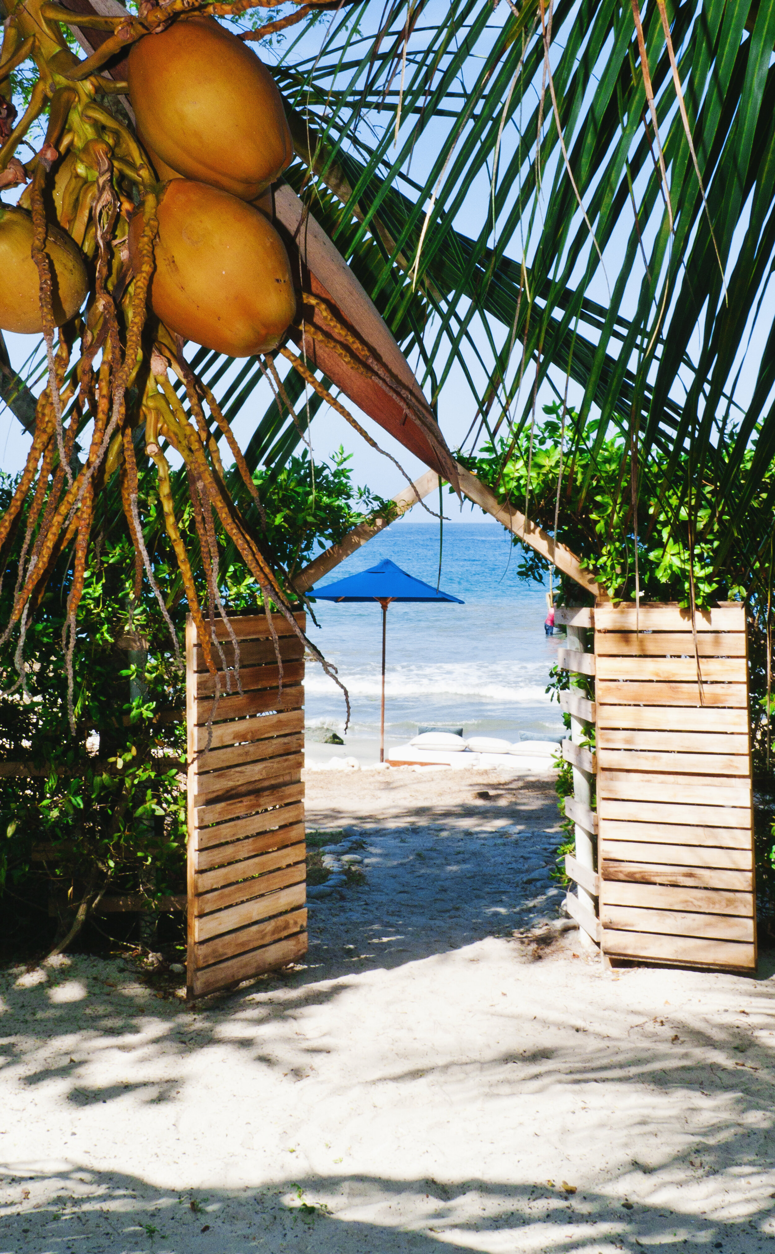 Colombia Hotels | Blue Apple Beach House