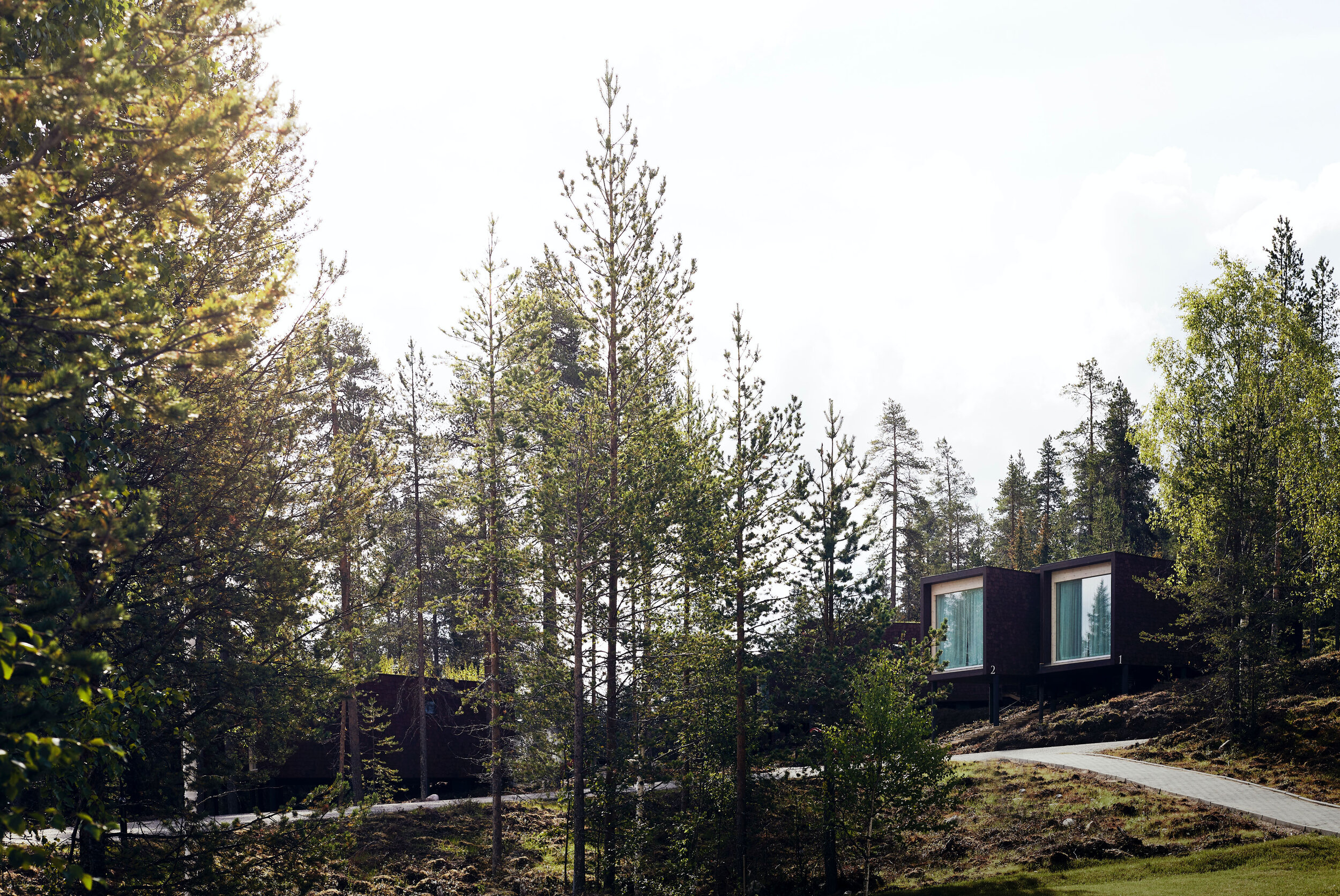 Finnish Lapland | Arctic Treehouse Hotel