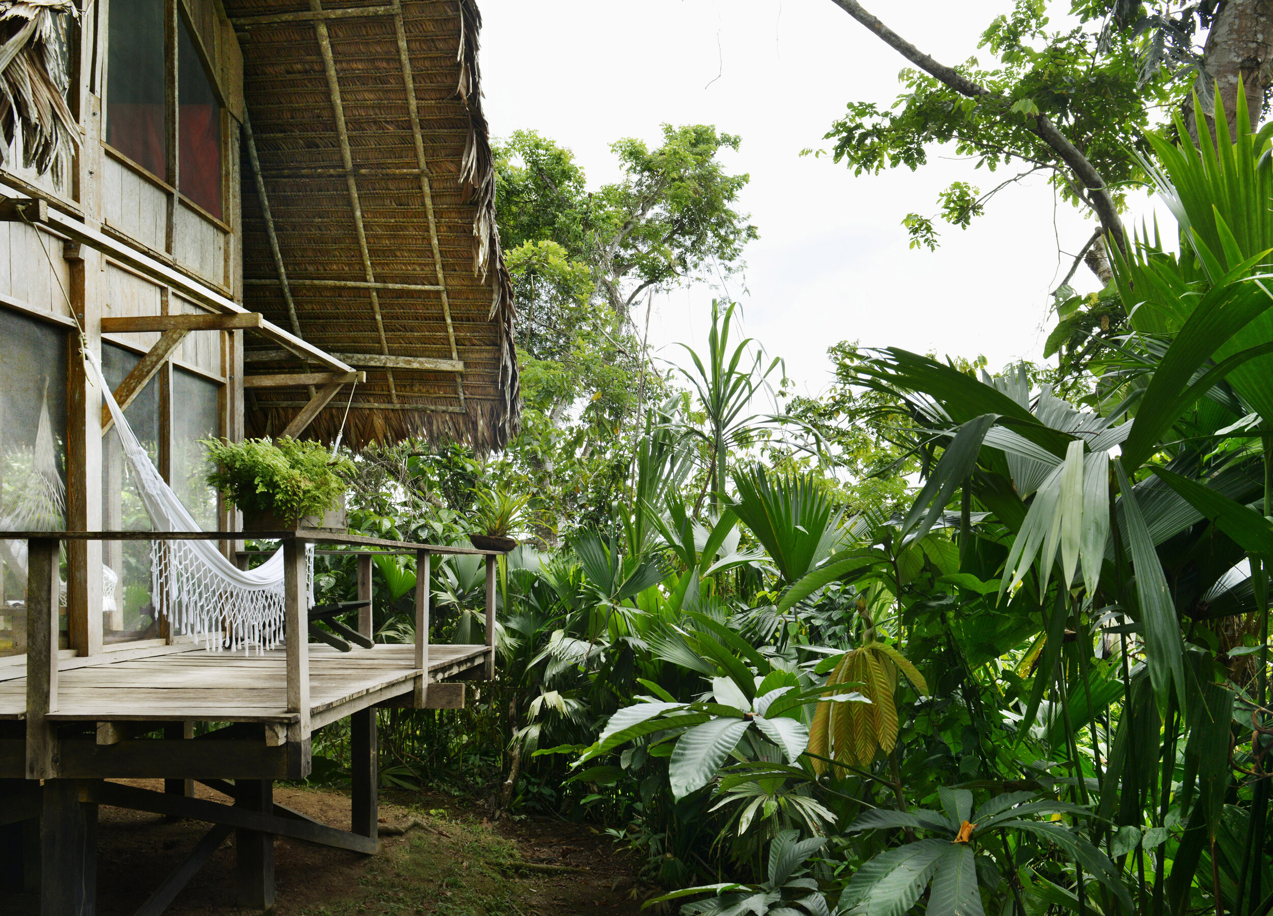 Colombia Hotels | Calanoa Jungle Lodge