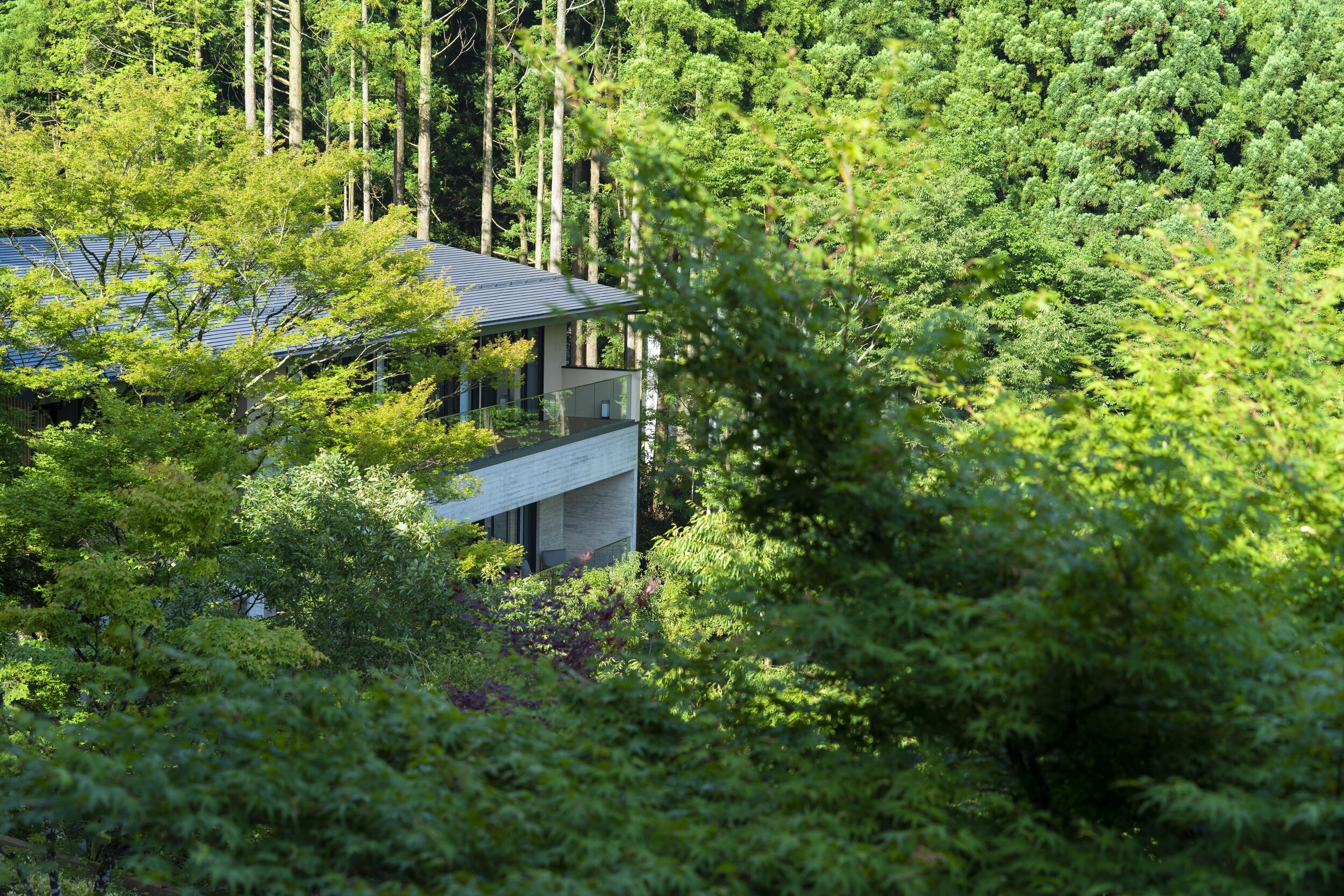 Hot Spring Hotel | KAI Sengokuhara Hakone Japan