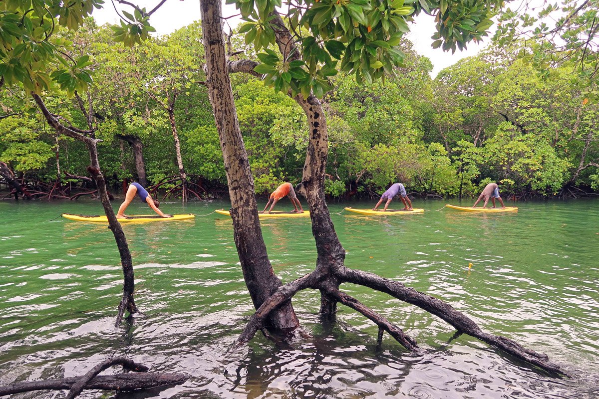 Treehouse Hotel | Watamu Treehouse Kenya