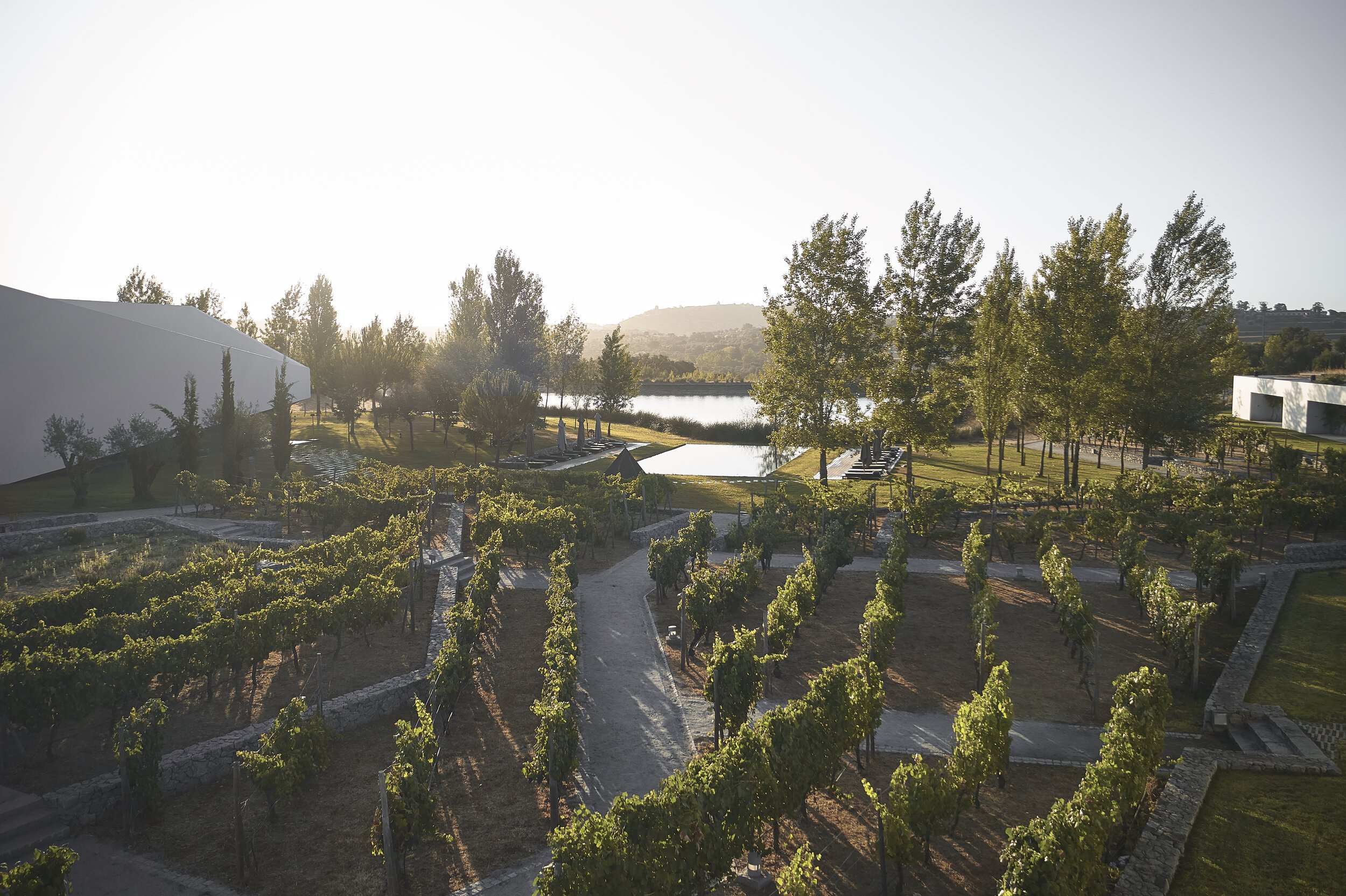 Portugal Hotels | L'And Vineyards