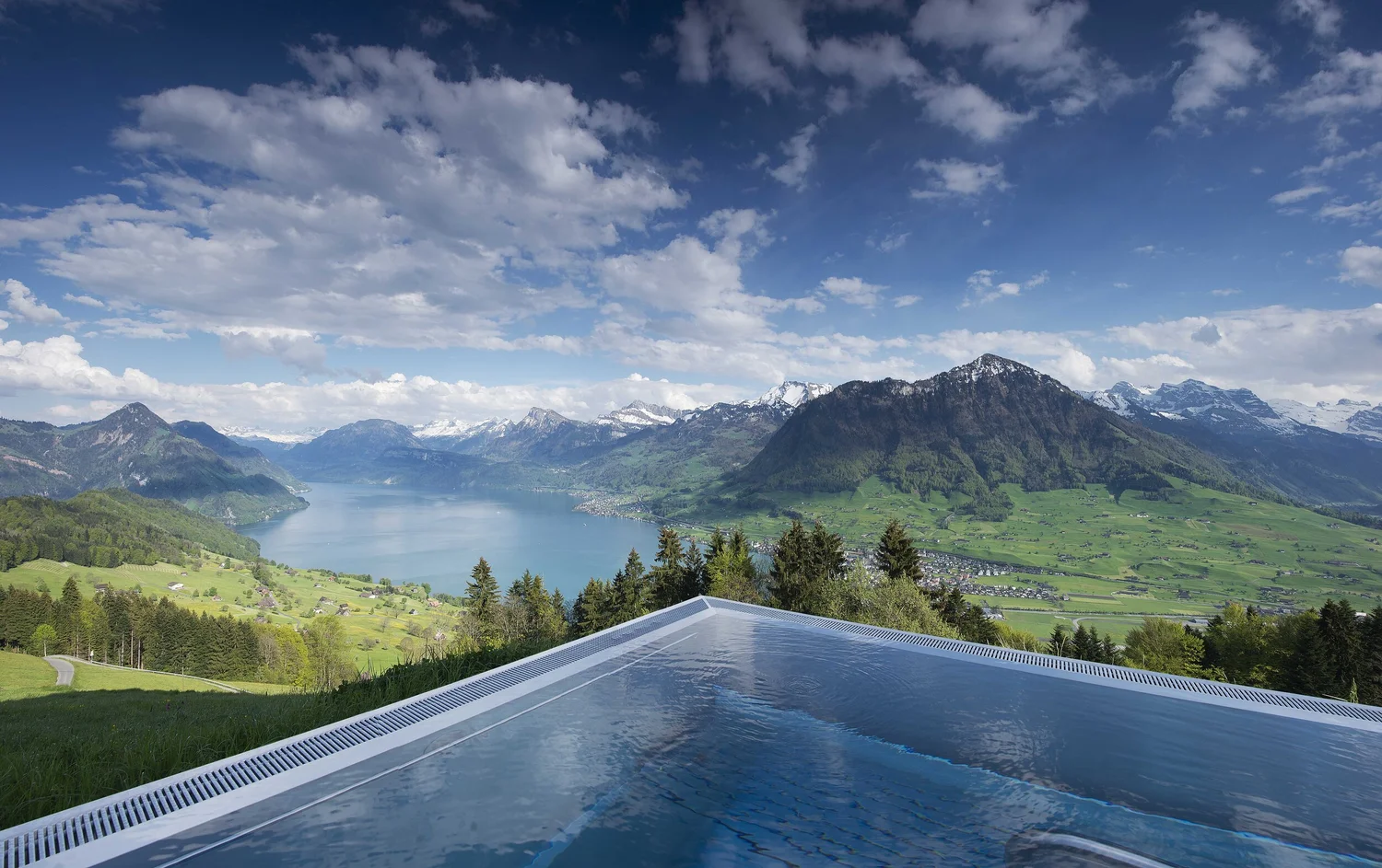 hotel-villa-honegg-switzerland-room-wild
