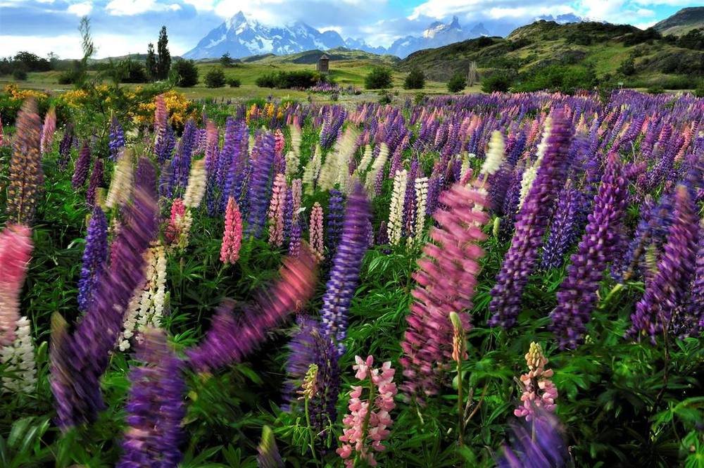 Patagonia Hotel | Explora