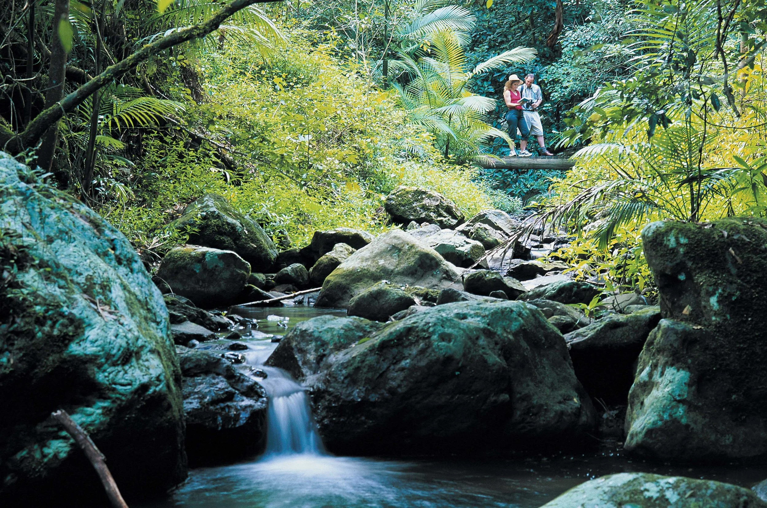 Australia Hotels | Crystal Creek Rainforest Retreat