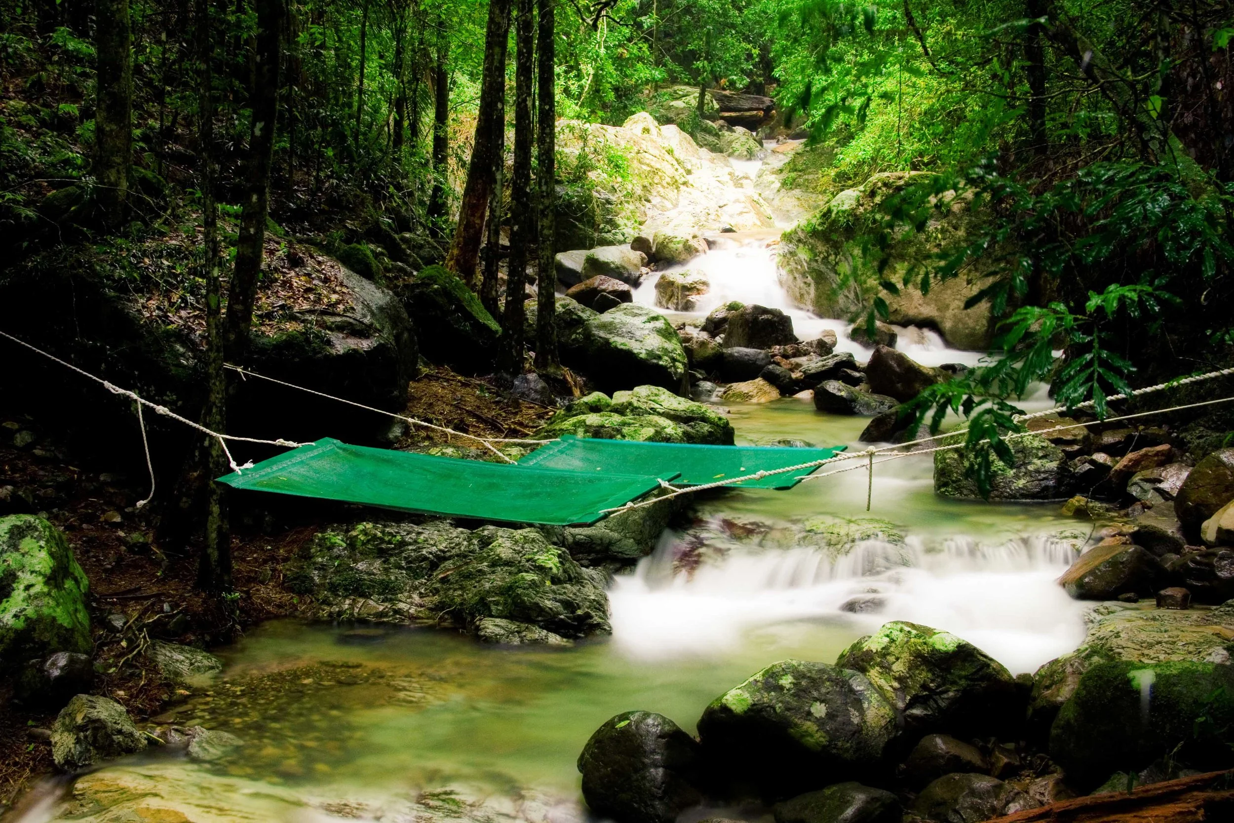 Australia Hotels | Crystal Creek Rainforest Retreat