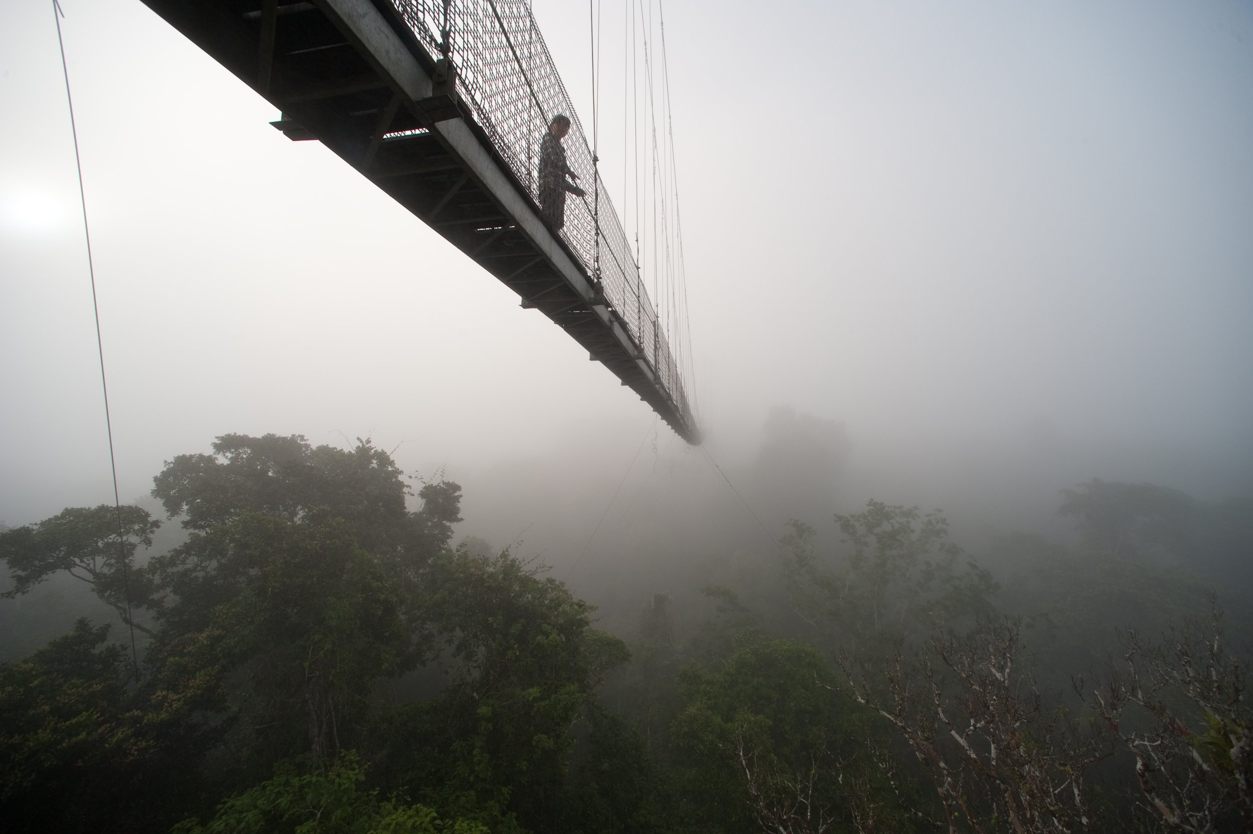 Ecuador Hotels | Sacha Lodge