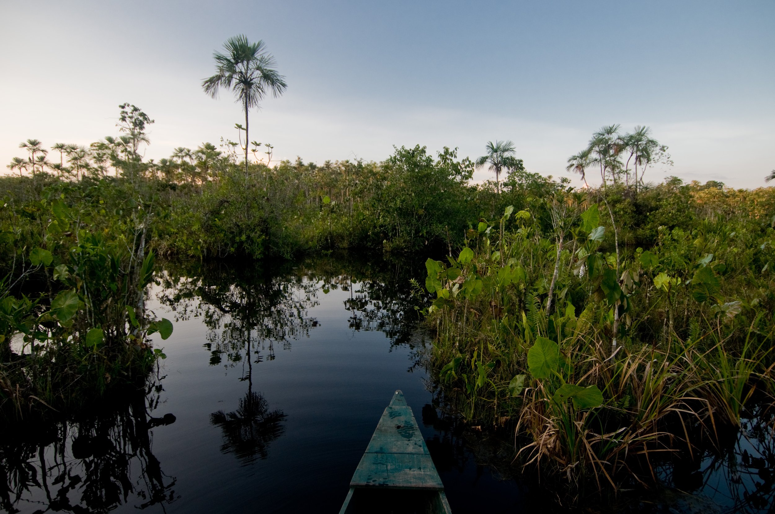 Ecuador Hotels | Sacha Lodge