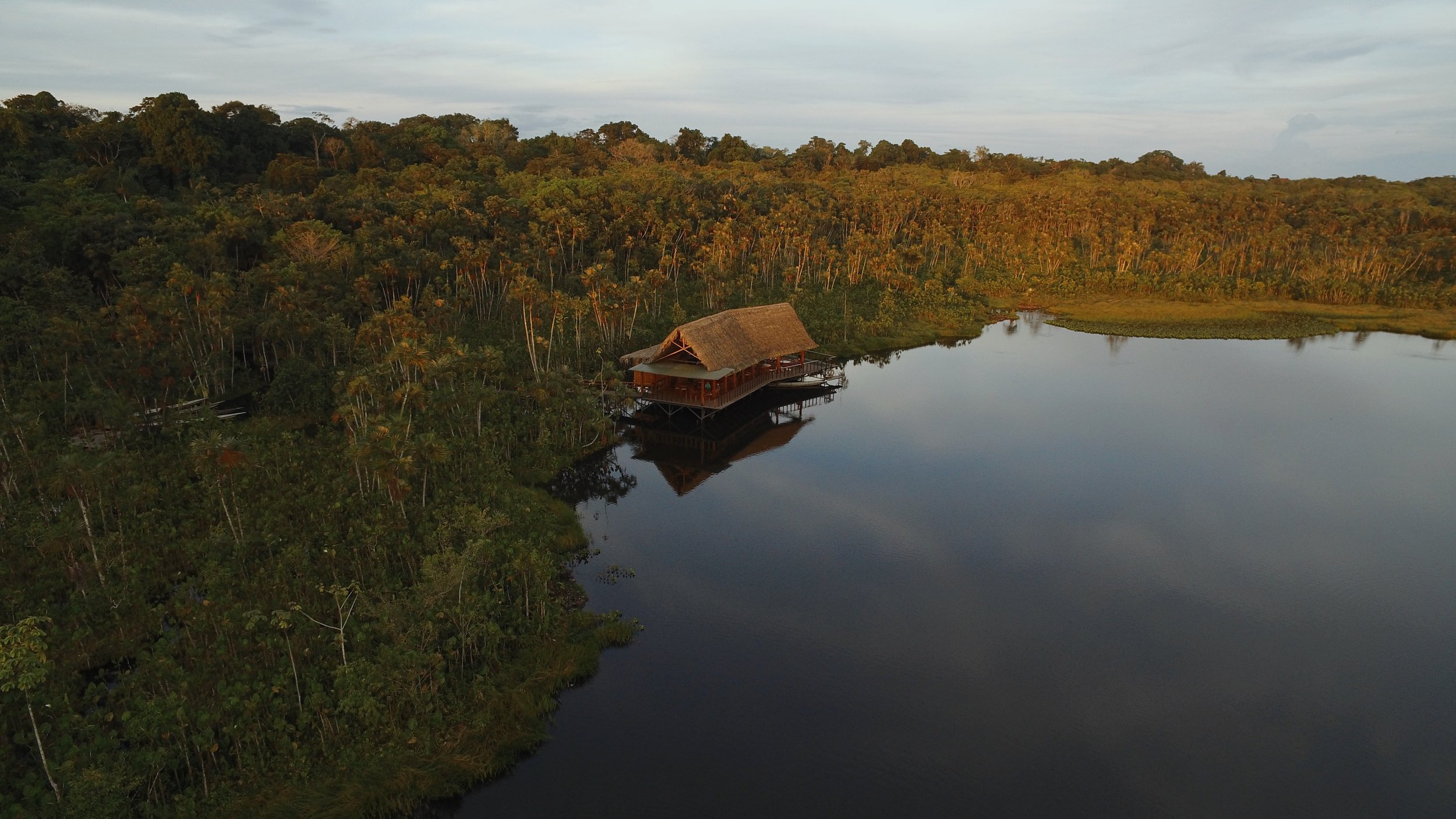 Ecuador Hotels | Sacha Lodge