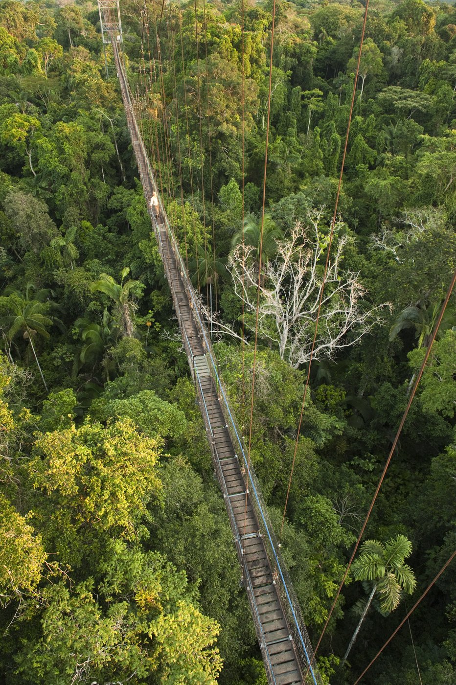 Ecuador Hotels | Sacha Lodge