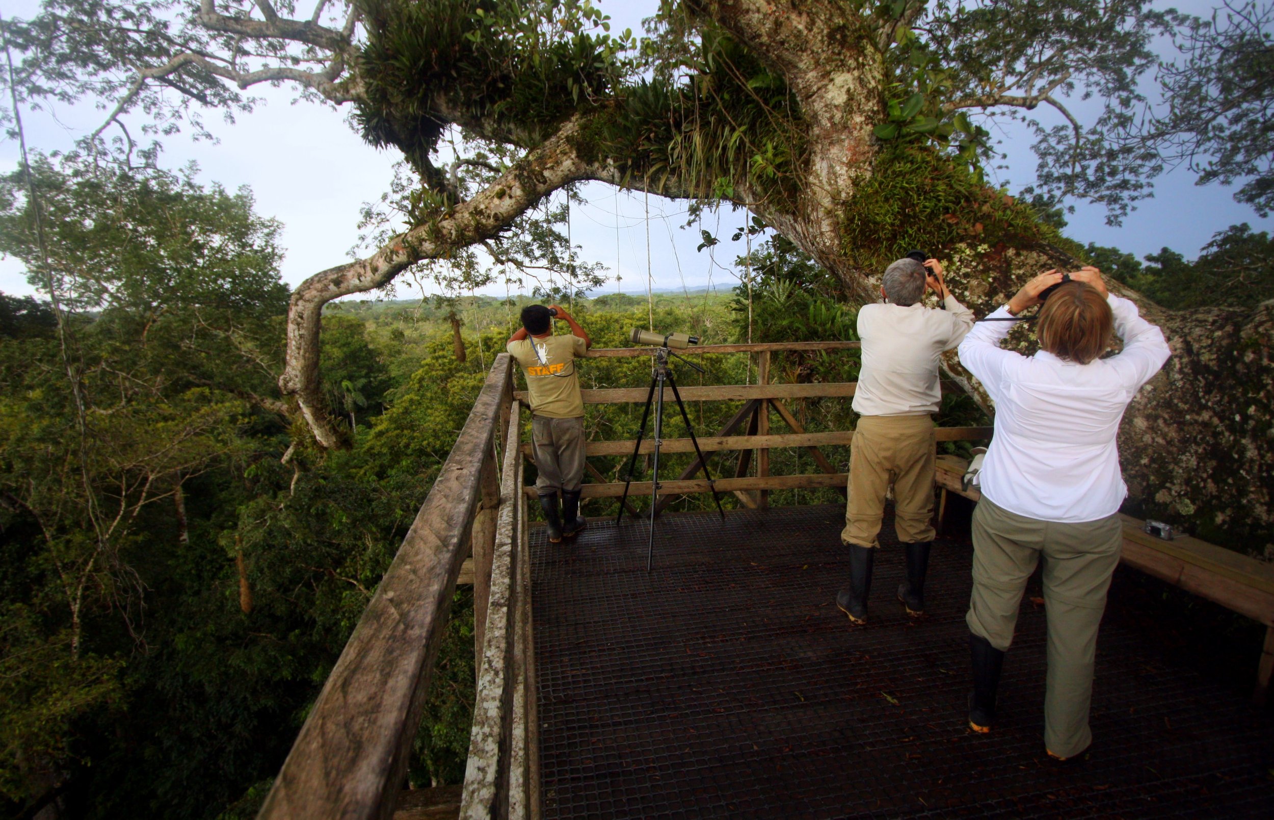 Ecuador Hotels | Sacha Lodge