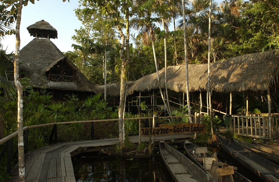 Ecuador Hotels | Sacha Lodge