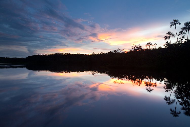 Ecuador Hotels | Sacha Lodge