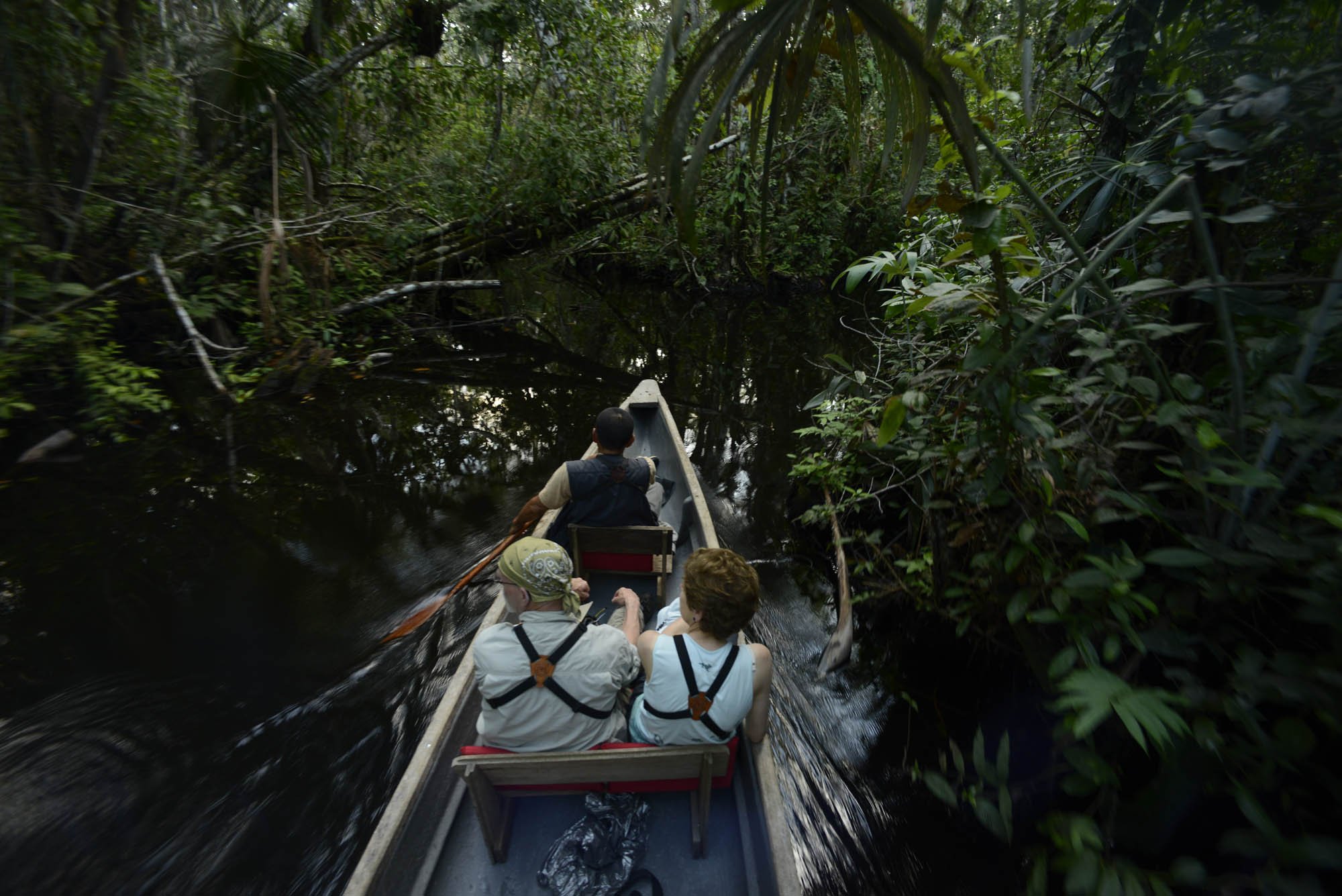 Ecuador Hotels | Sacha Lodge