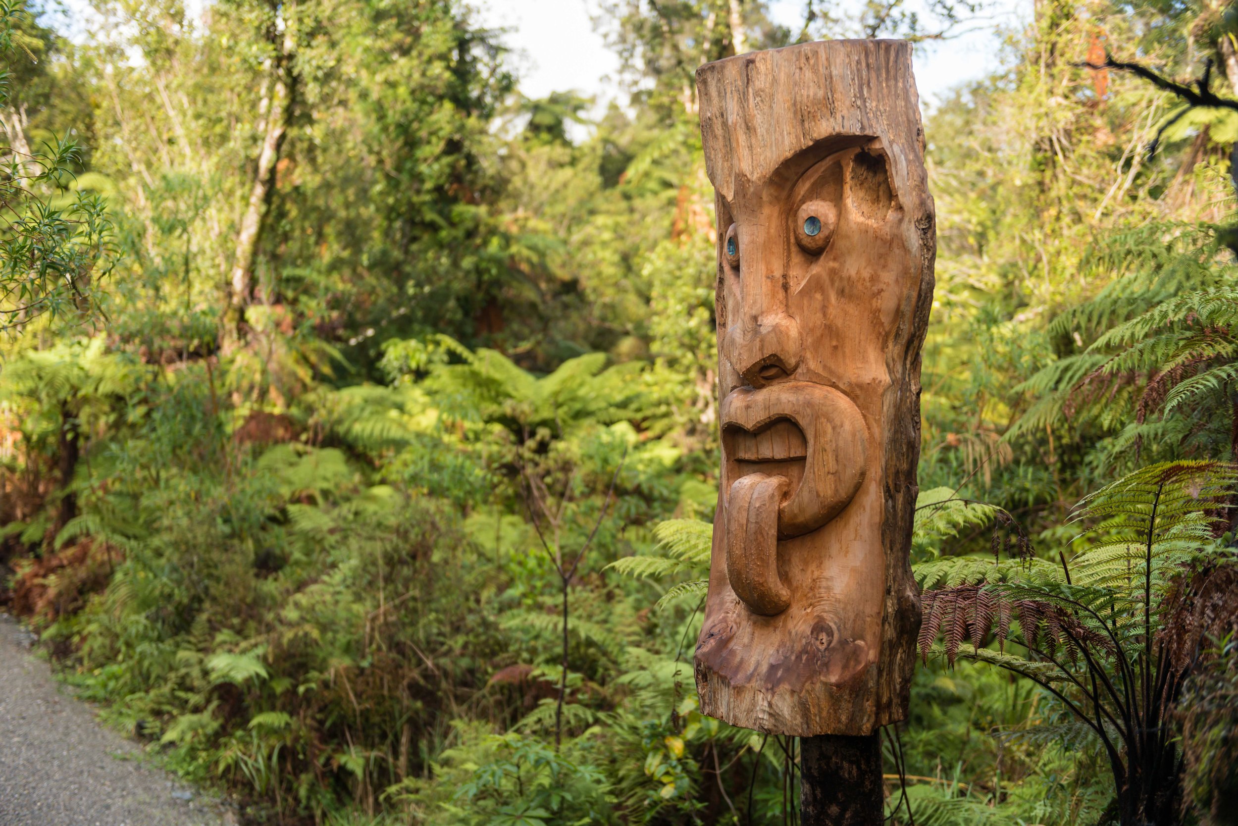 New Zealand Hotel | Te Waonui Forest Retreat 