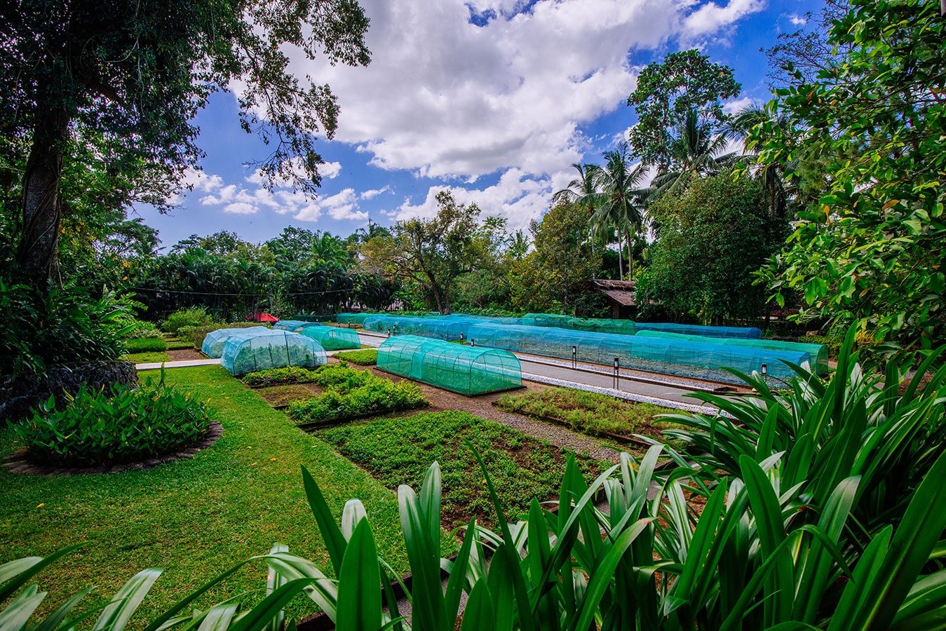 Wellness Hotel | The Farm at San Benito The Philippines