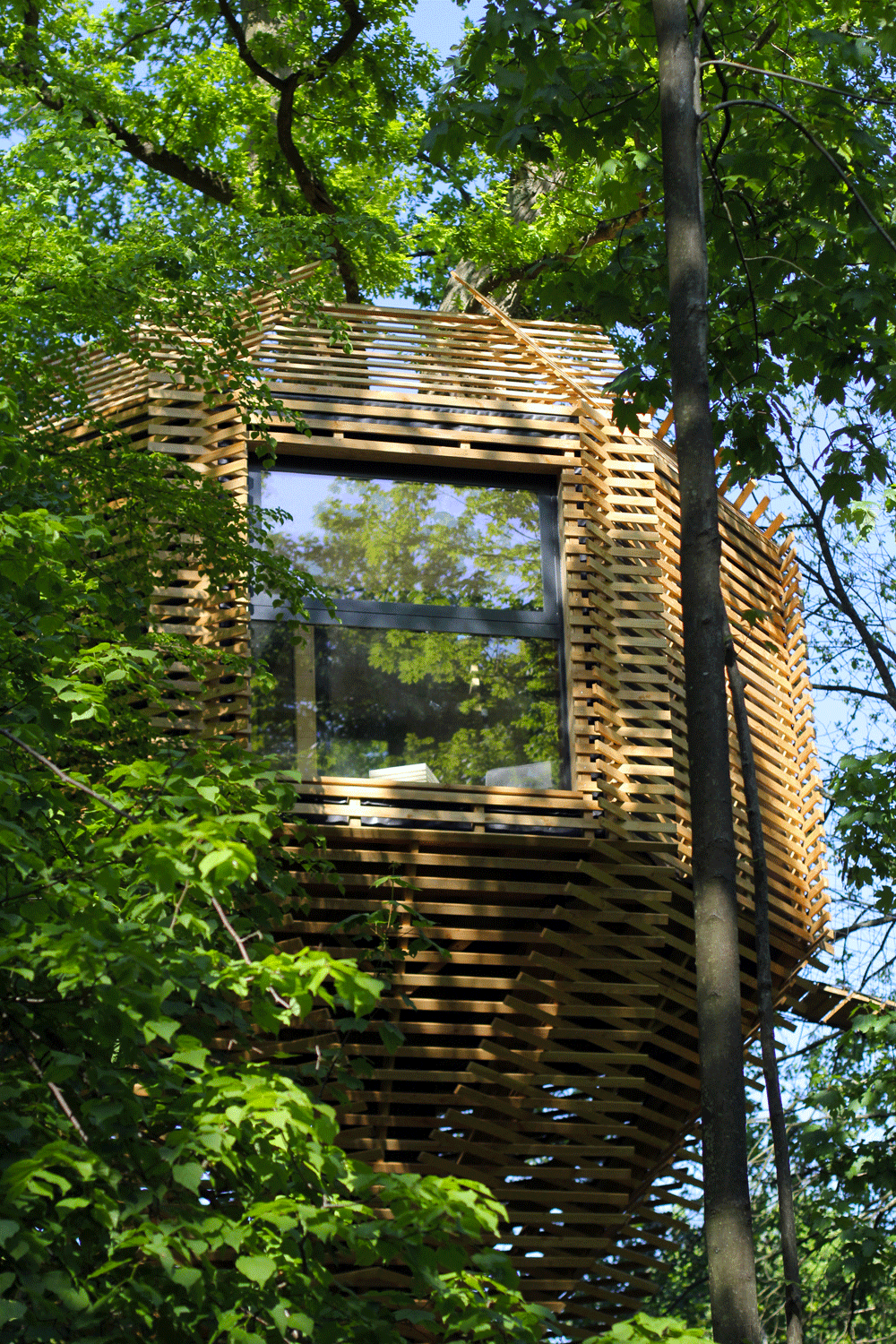 Atelier+LAVIT+-+ORIGIN+trees+house+19.gif