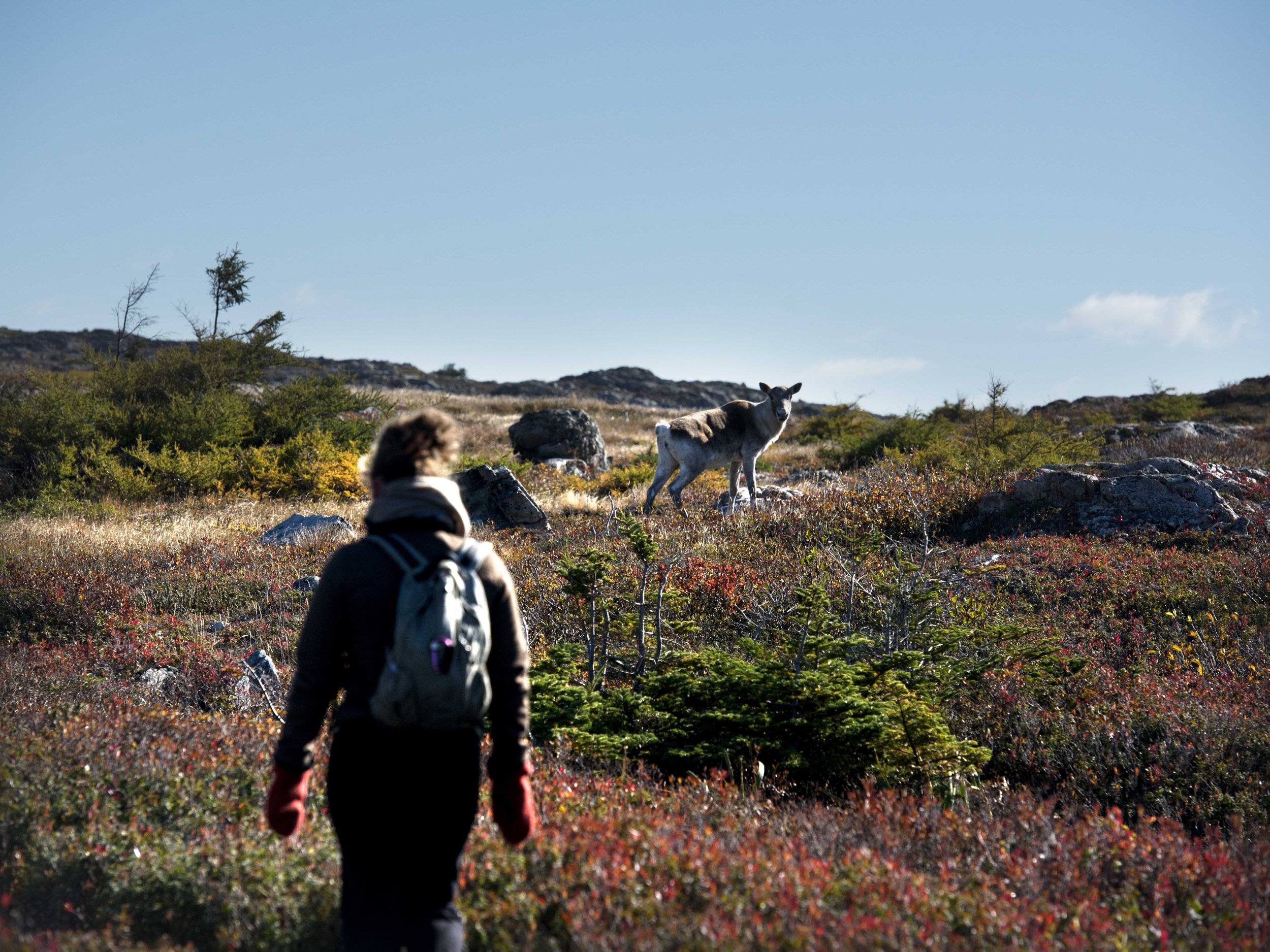 Fogo Island Inn | Canada