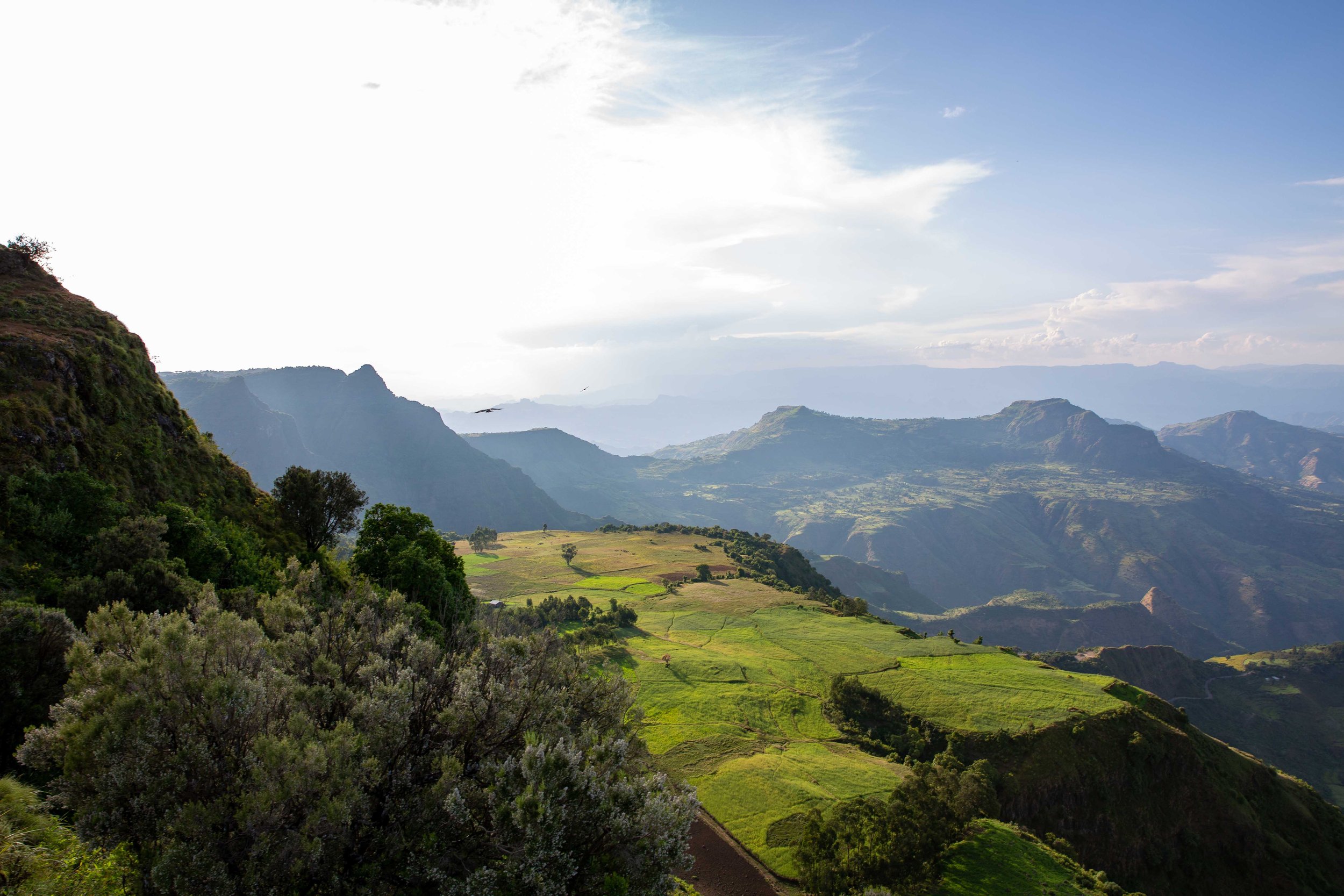 Simien Mountains National Park | Limalimo Lodge Ethiopia
