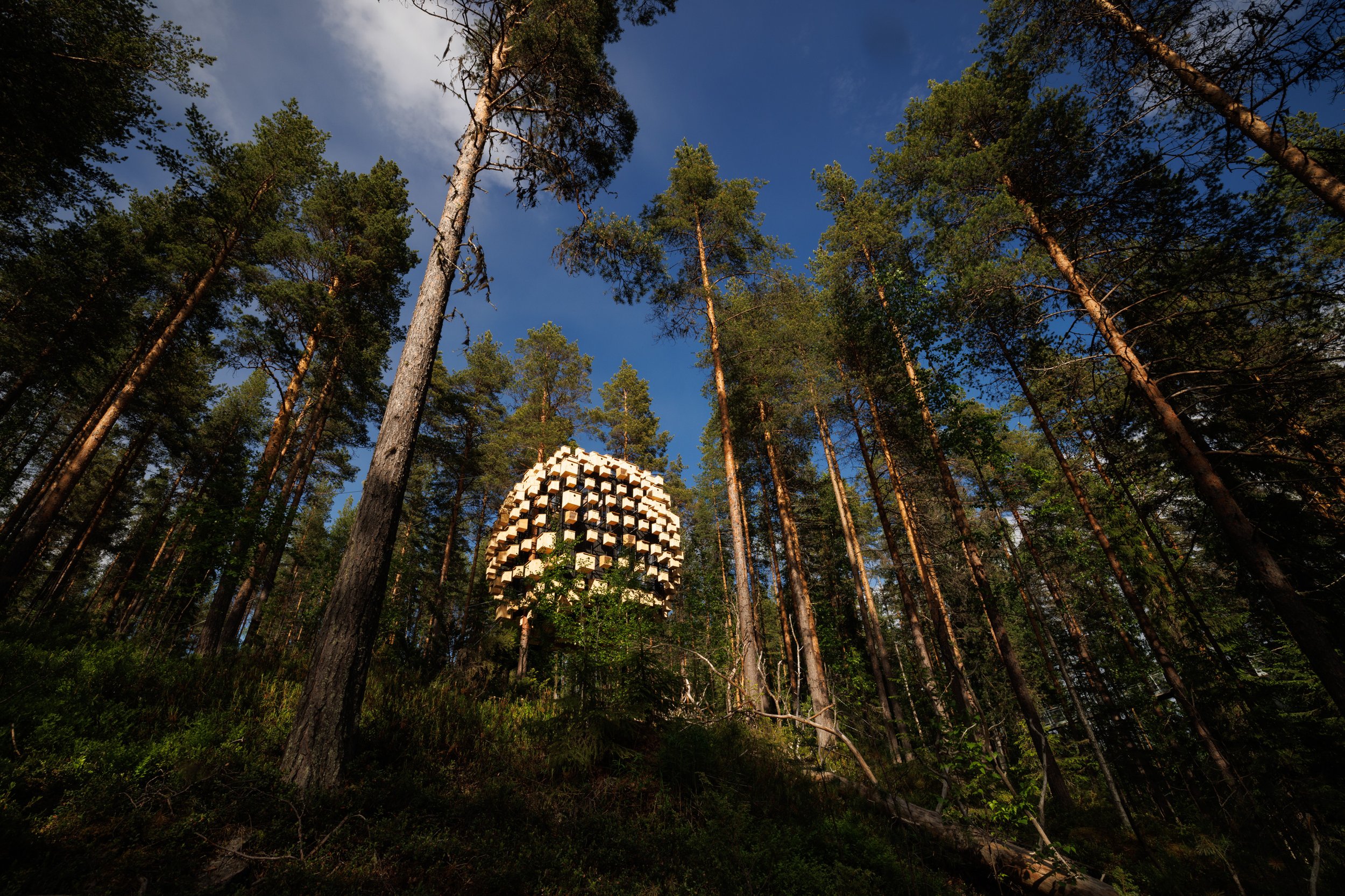 Sweden Hotel | Treehotel Harads