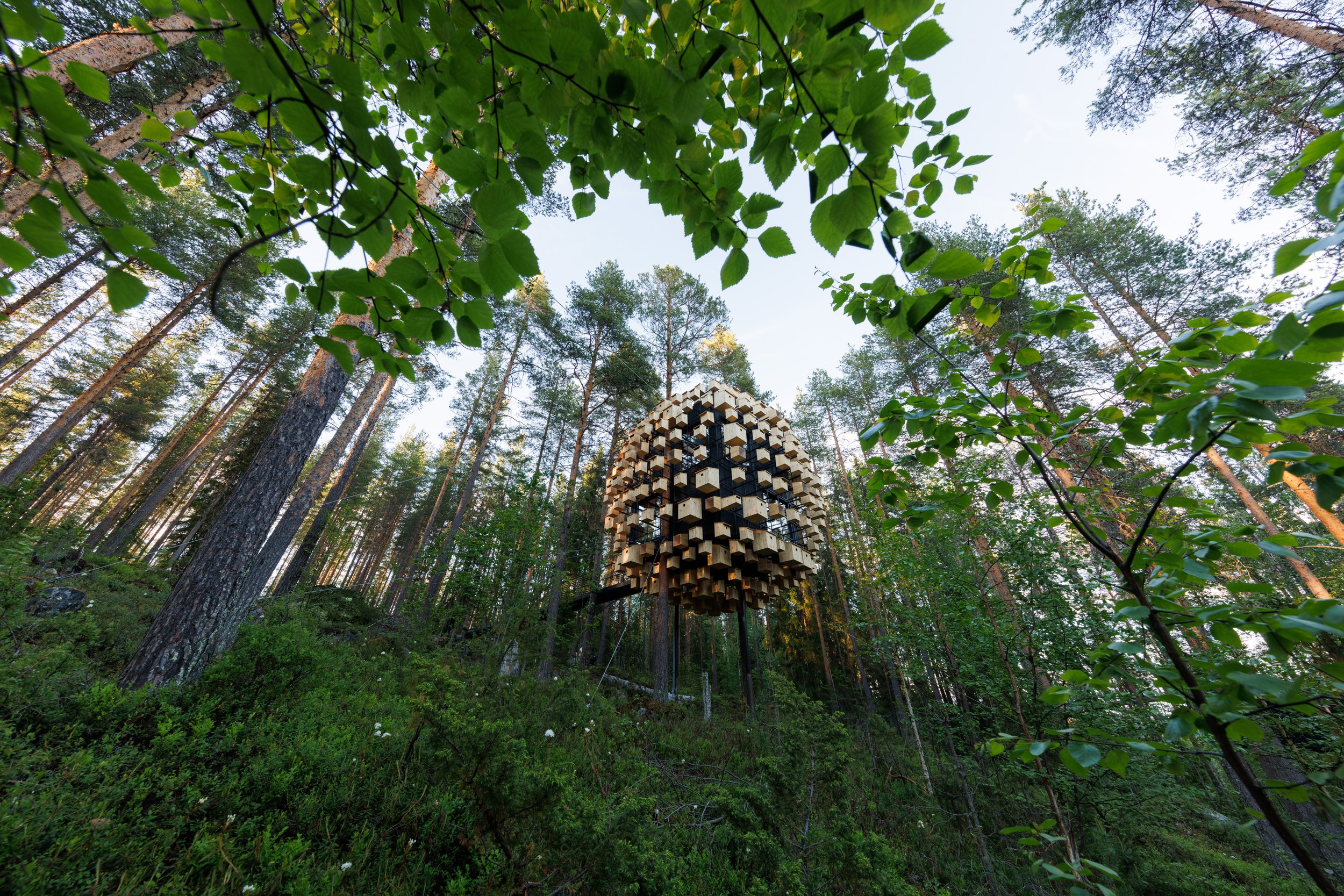 Sweden Hotel | Treehotel Harads