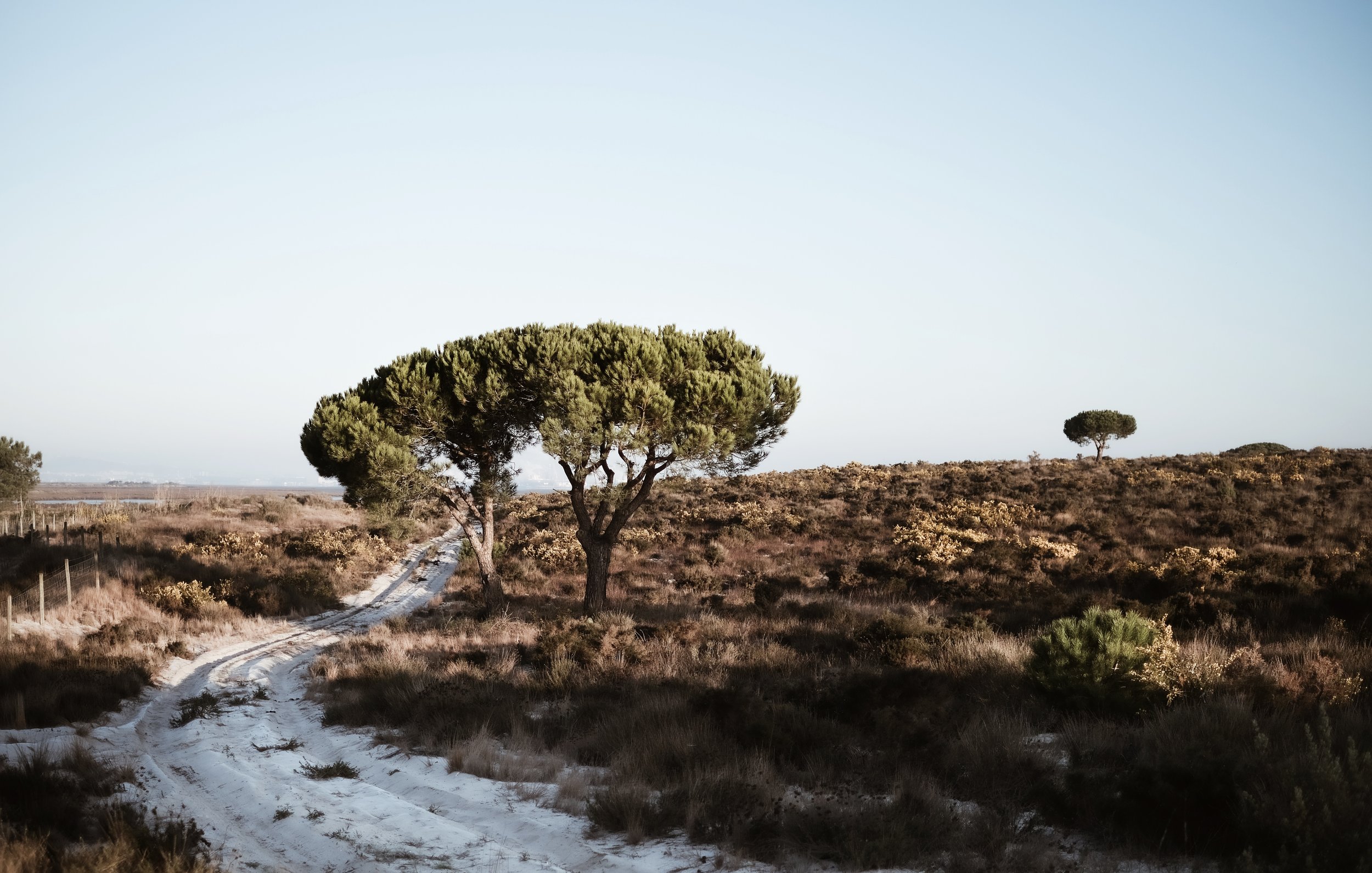 Portugal Hotels | Casas Na Areia Comporta