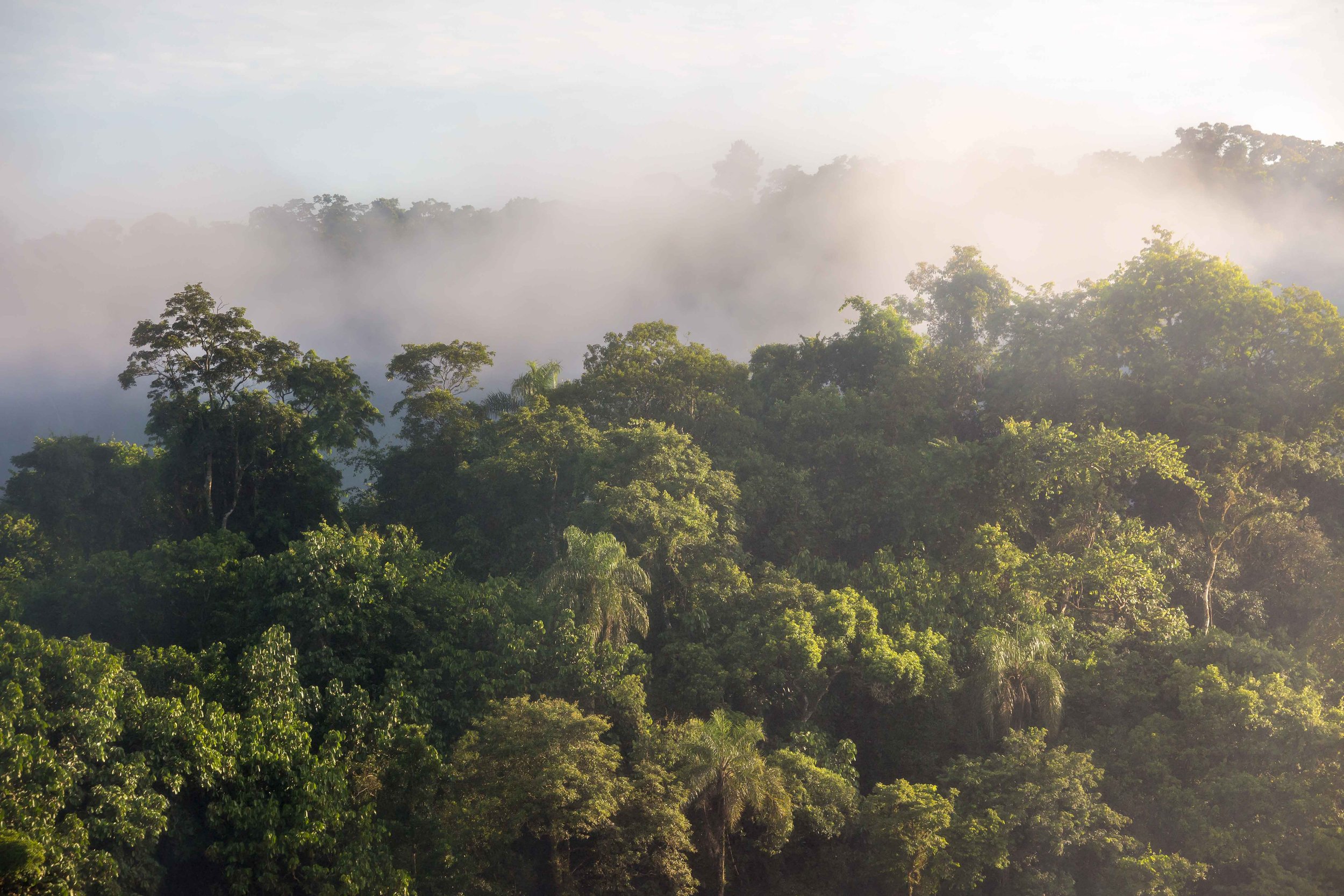 Iguazu Falls | Hotel Awasi Iguazu 