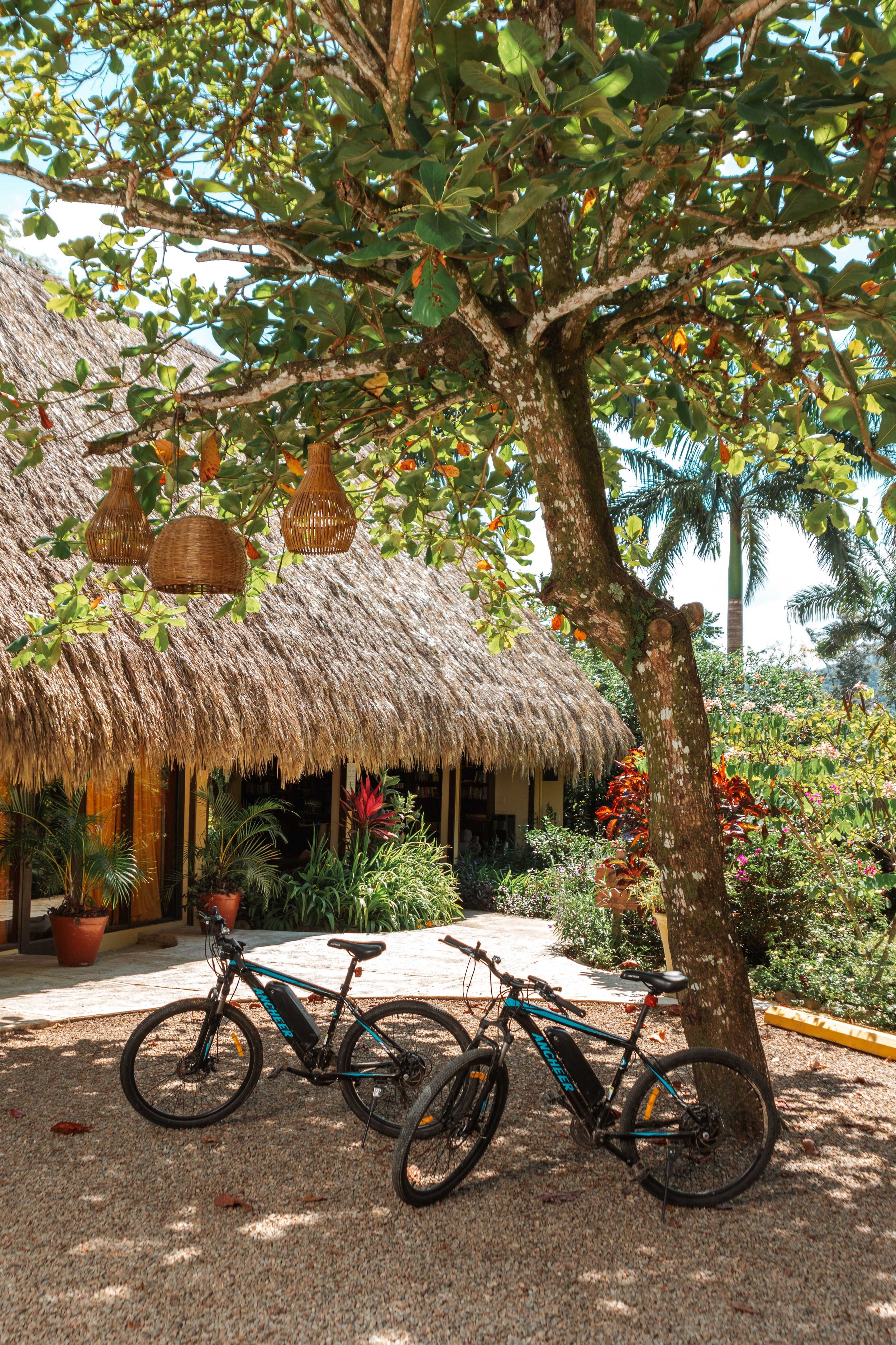 Belize Hotel | Sleeping Giant Rainforest Lodge