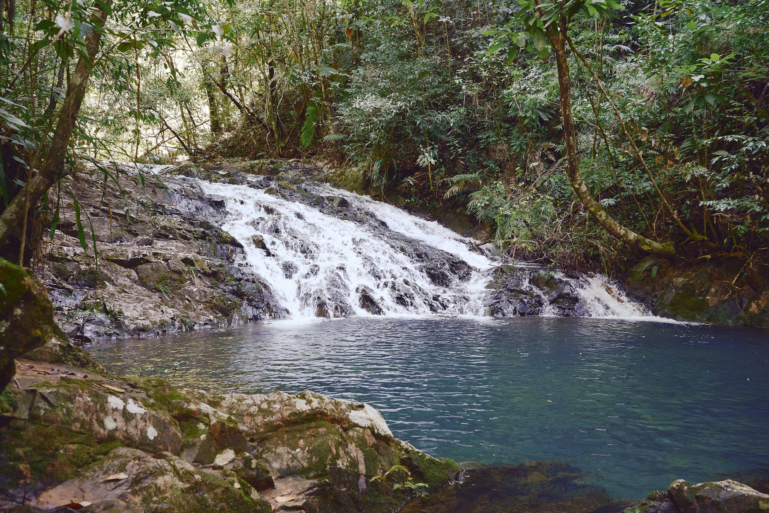 Belize Hotel | Hidden Valley Wilderness Lodge