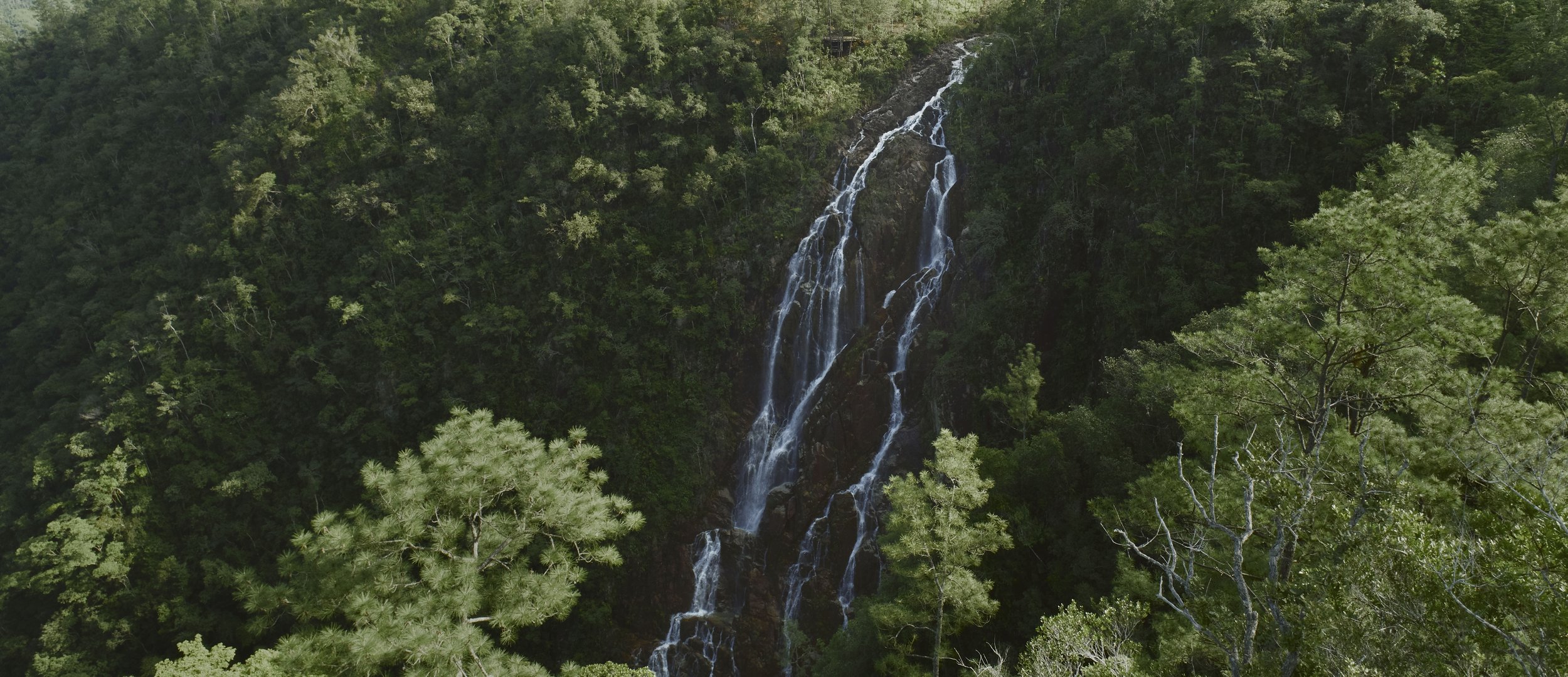 Belize Hotel | Hidden Valley Wilderness Lodge