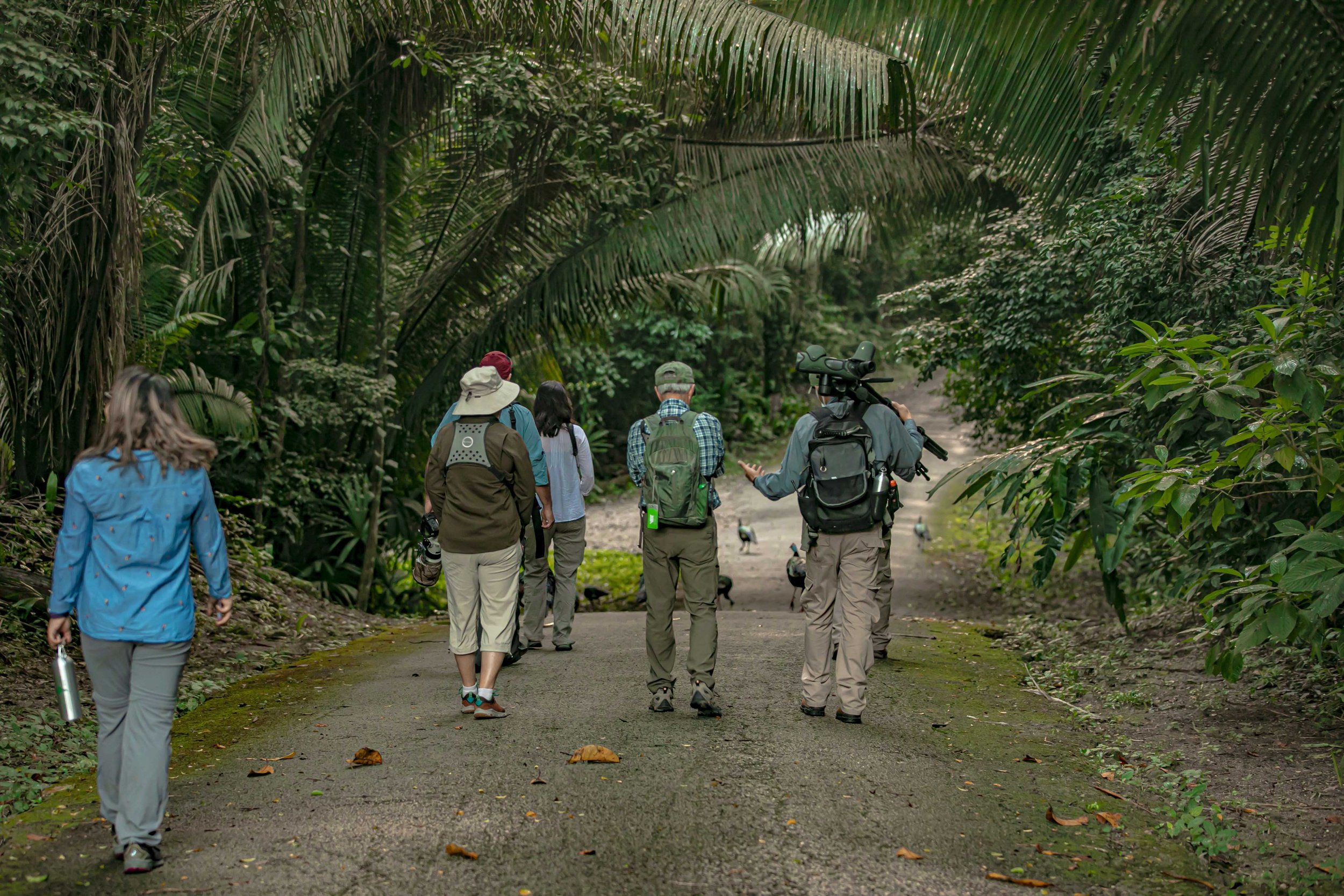 Belize Hotel | Chan Chich Lodge