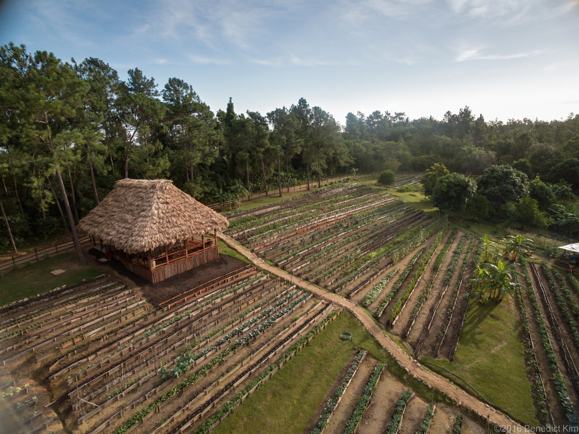 Belize Hotel | Blancaneaux Lodge